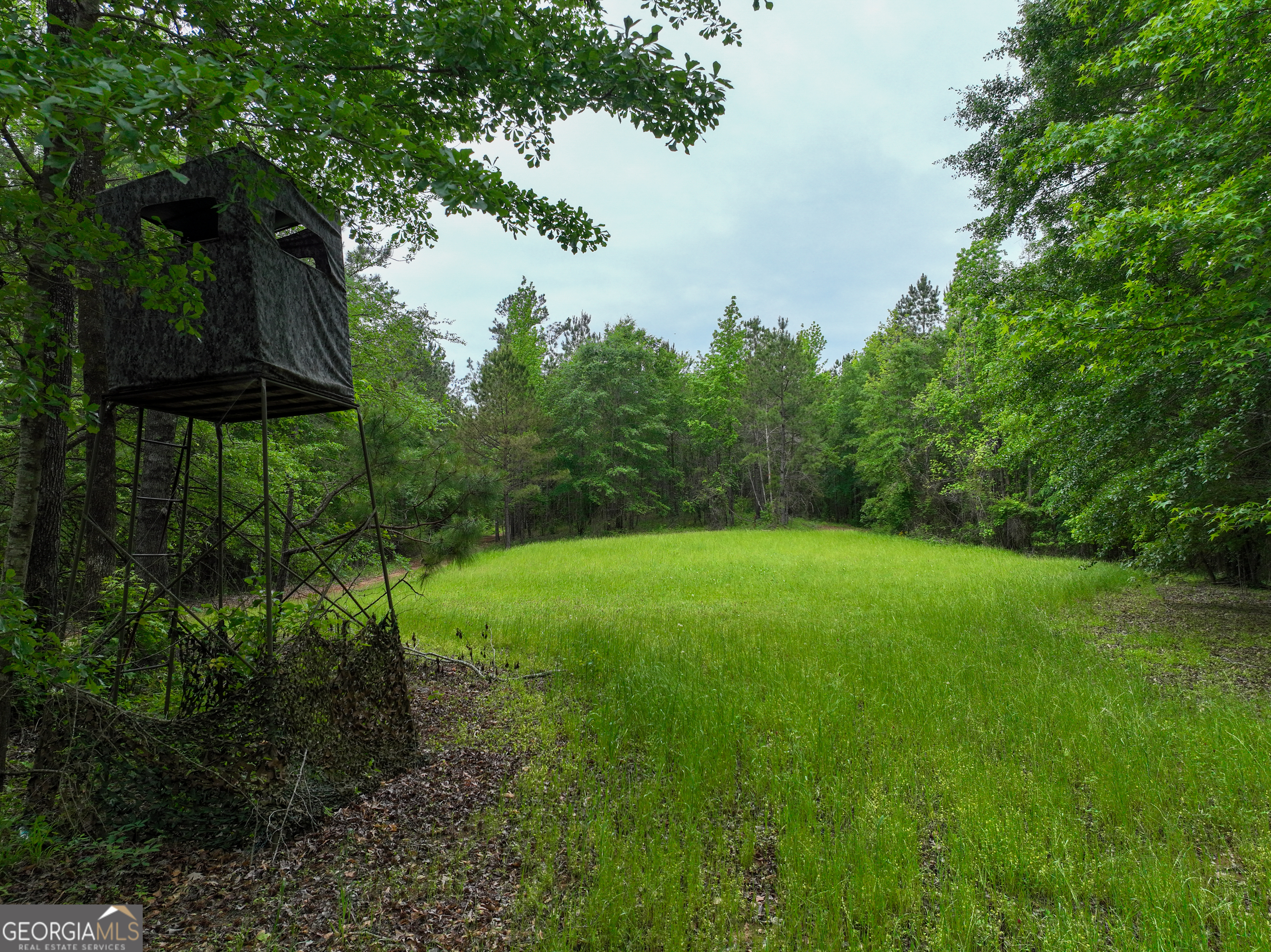 6620 Jr Sims Road Irwinton GA 31042