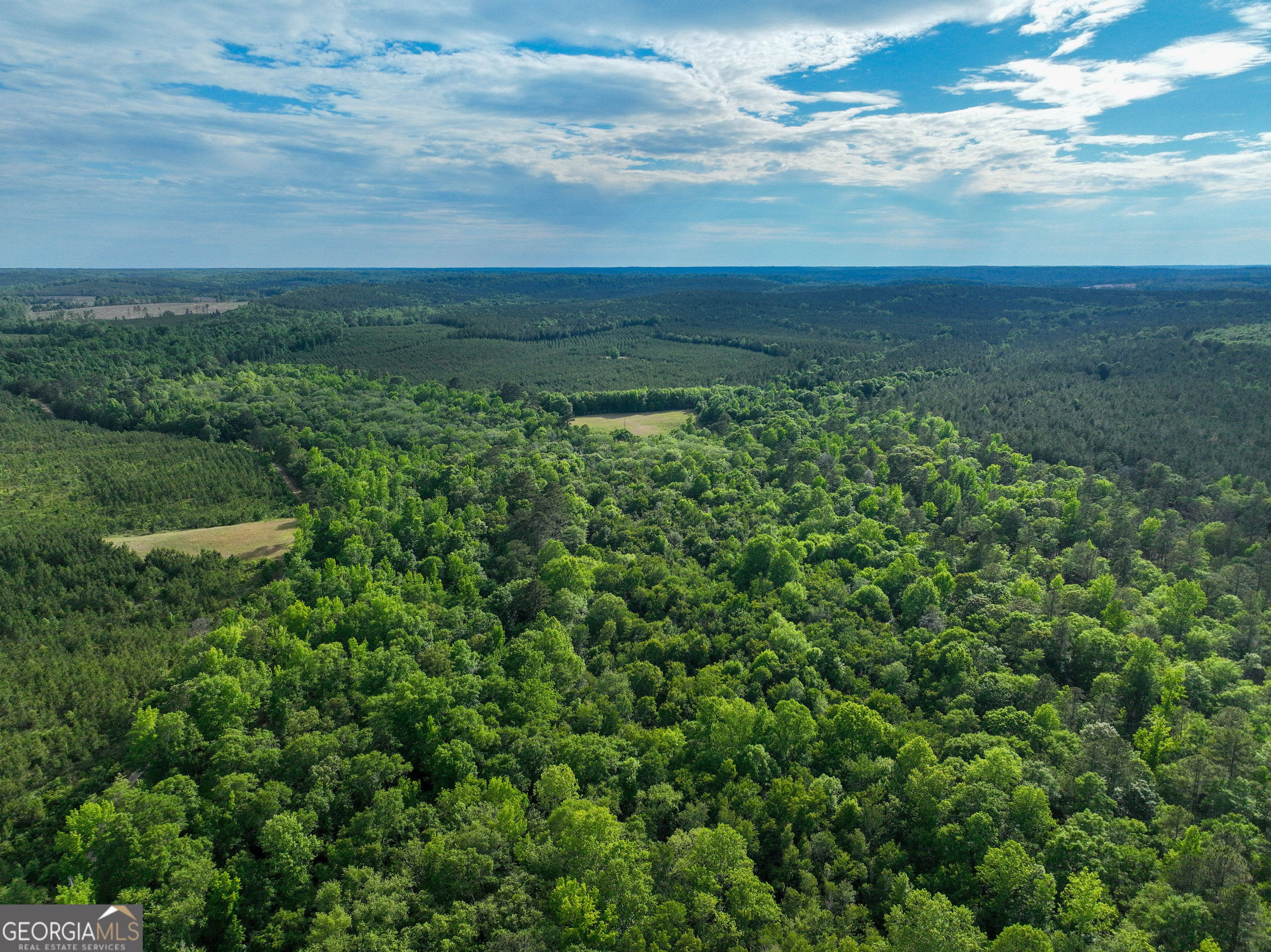 6620 Jr Sims Road Irwinton GA 31042