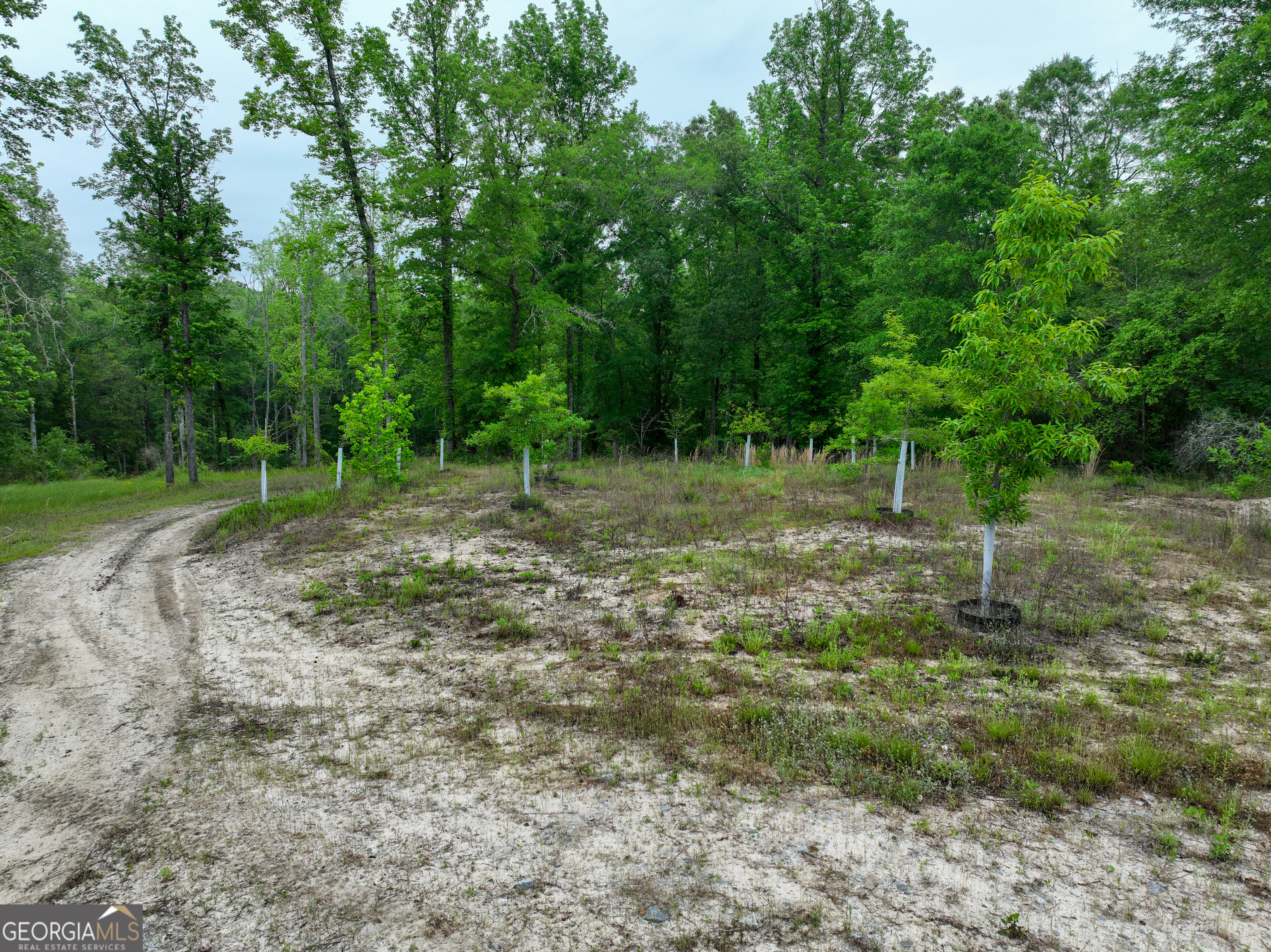 6620 Jr Sims Road Irwinton GA 31042