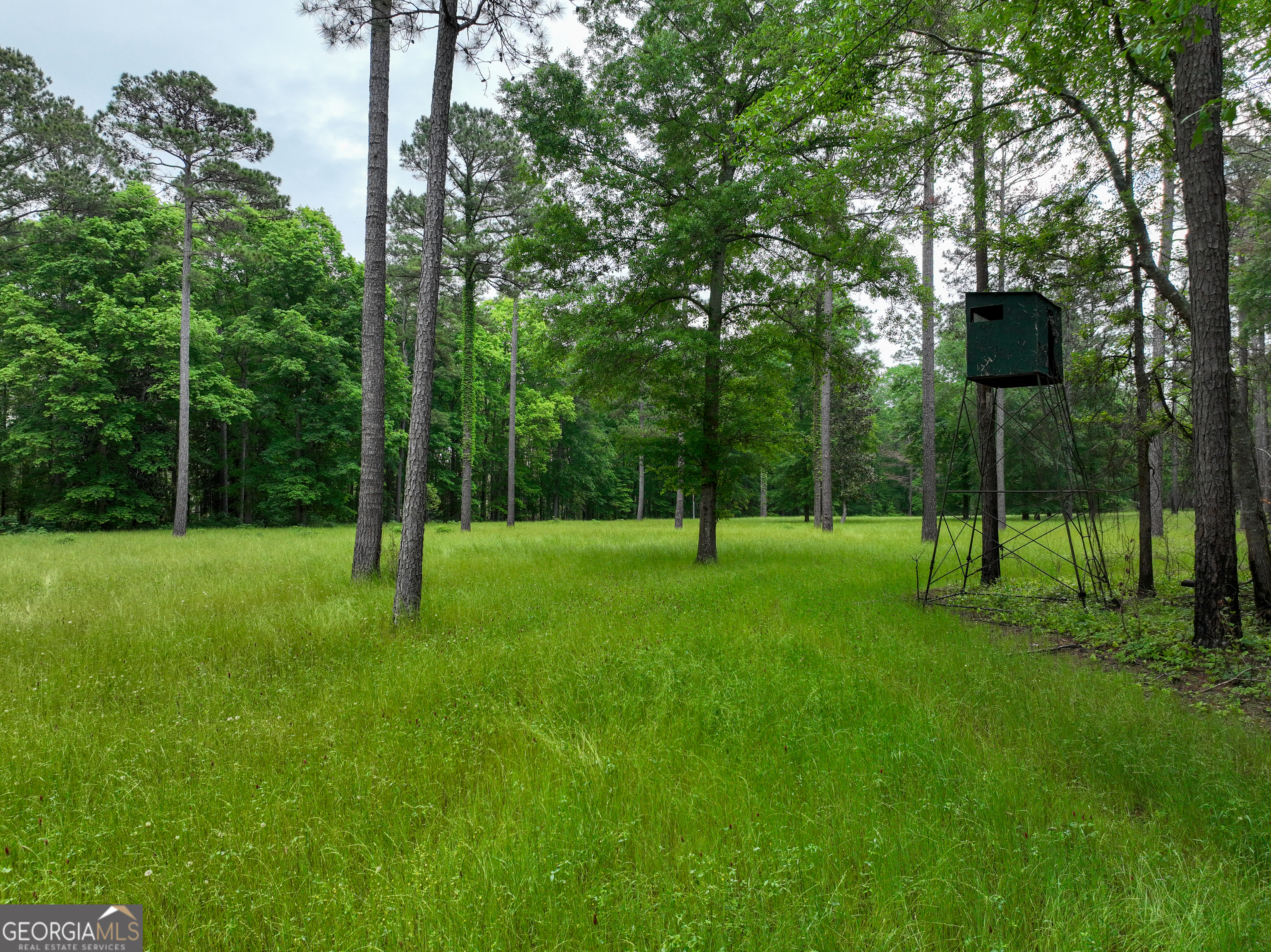 6620 Jr Sims Road Irwinton GA 31042