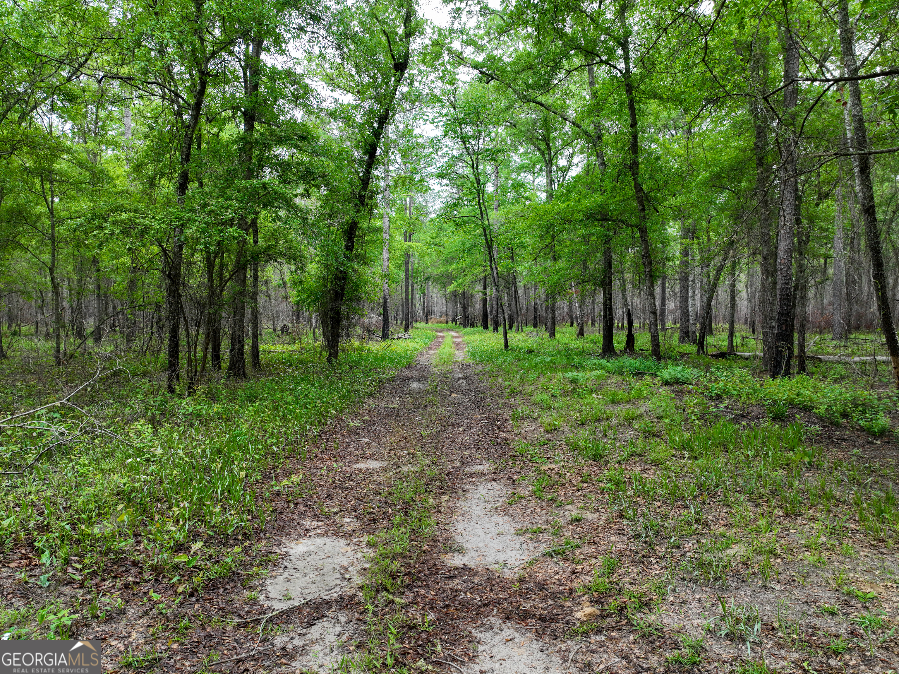6620 Jr Sims Road Irwinton GA 31042