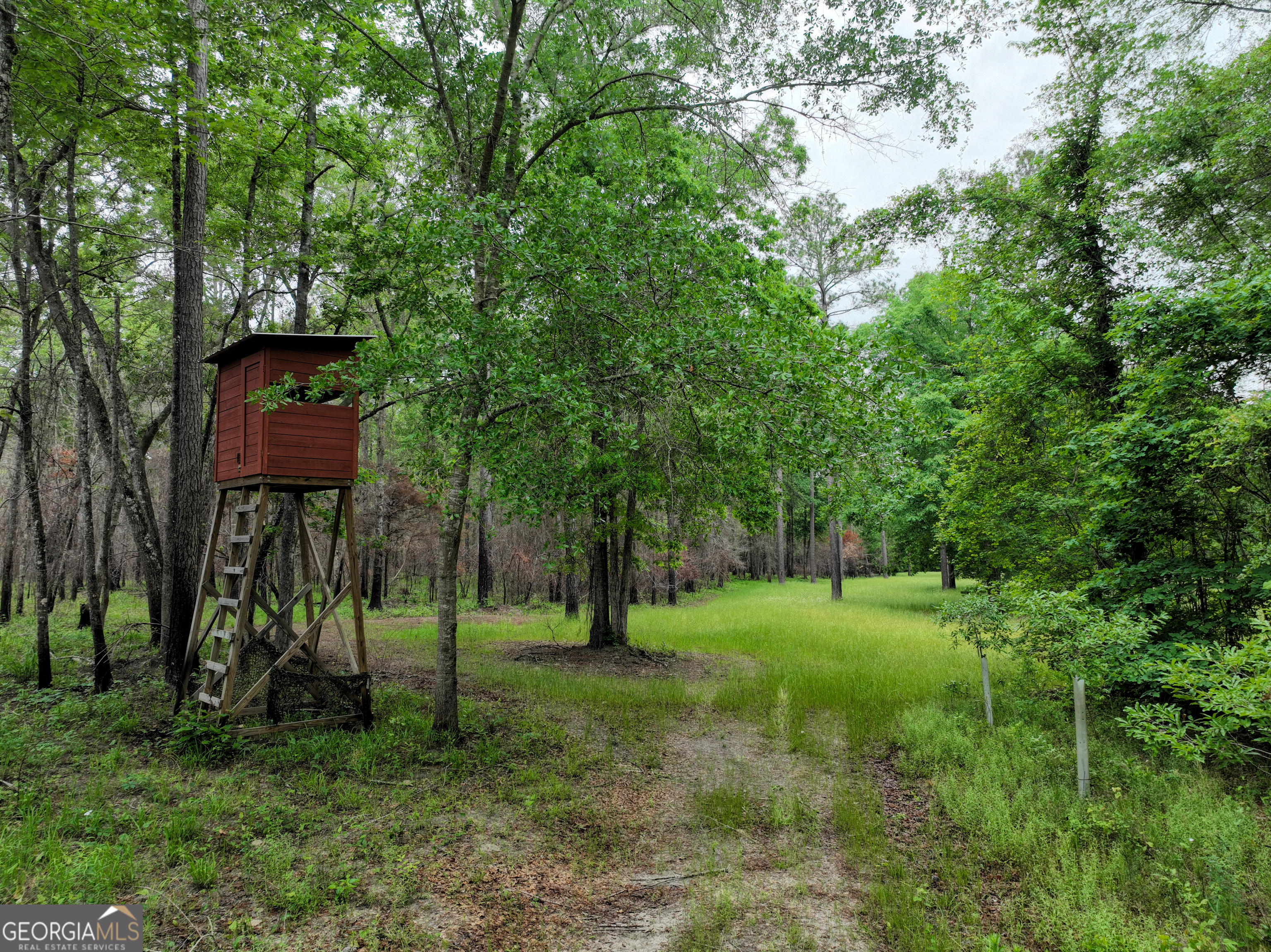 6620 Jr Sims Road Irwinton GA 31042