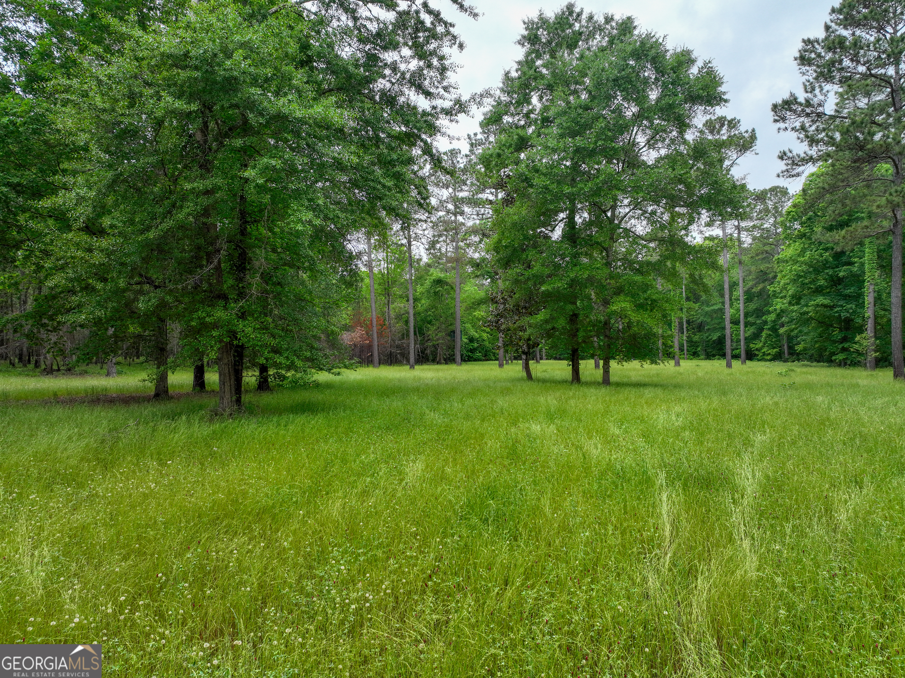 6620 Jr Sims Road Irwinton GA 31042
