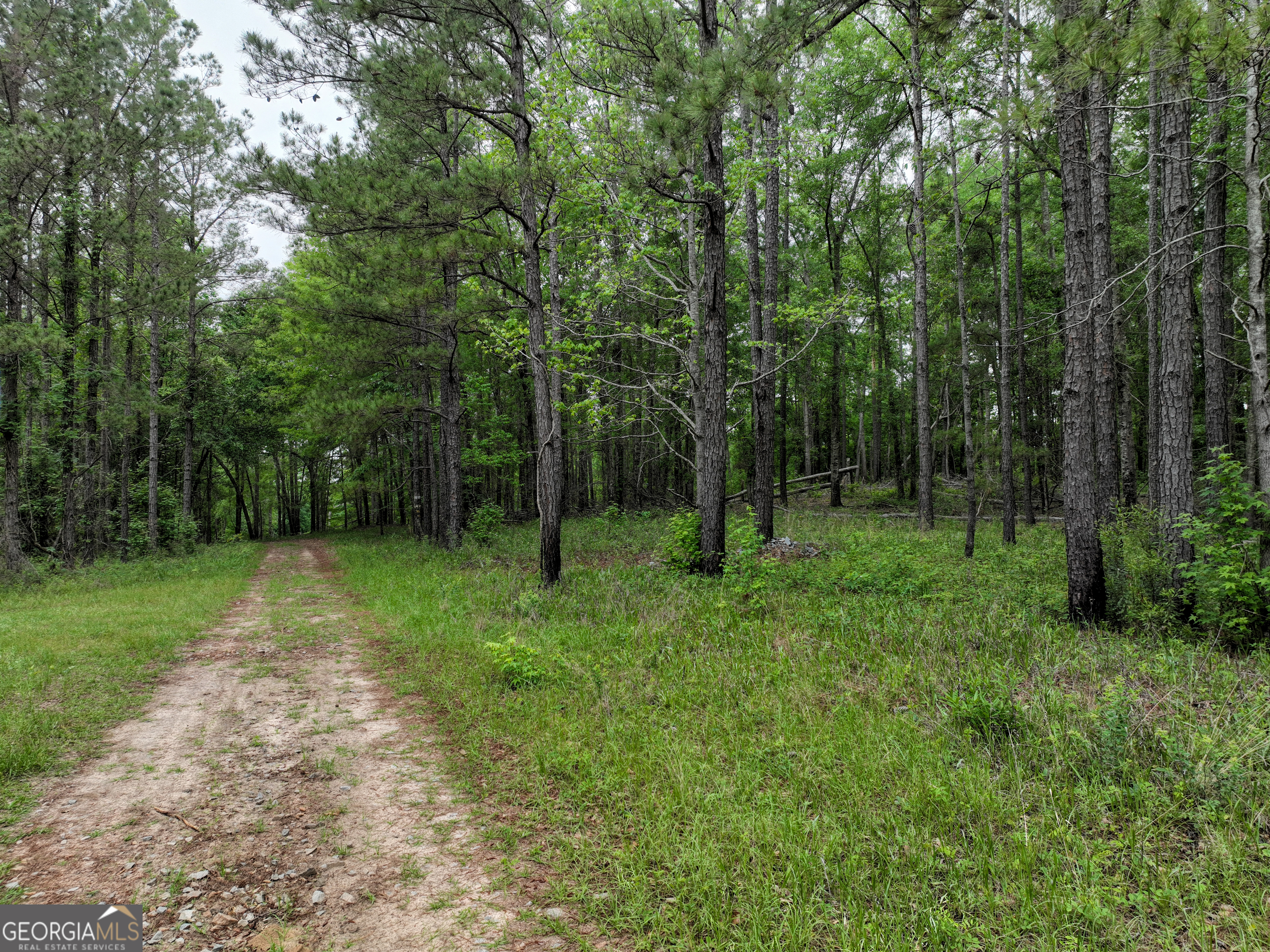6620 Jr Sims Road Irwinton GA 31042