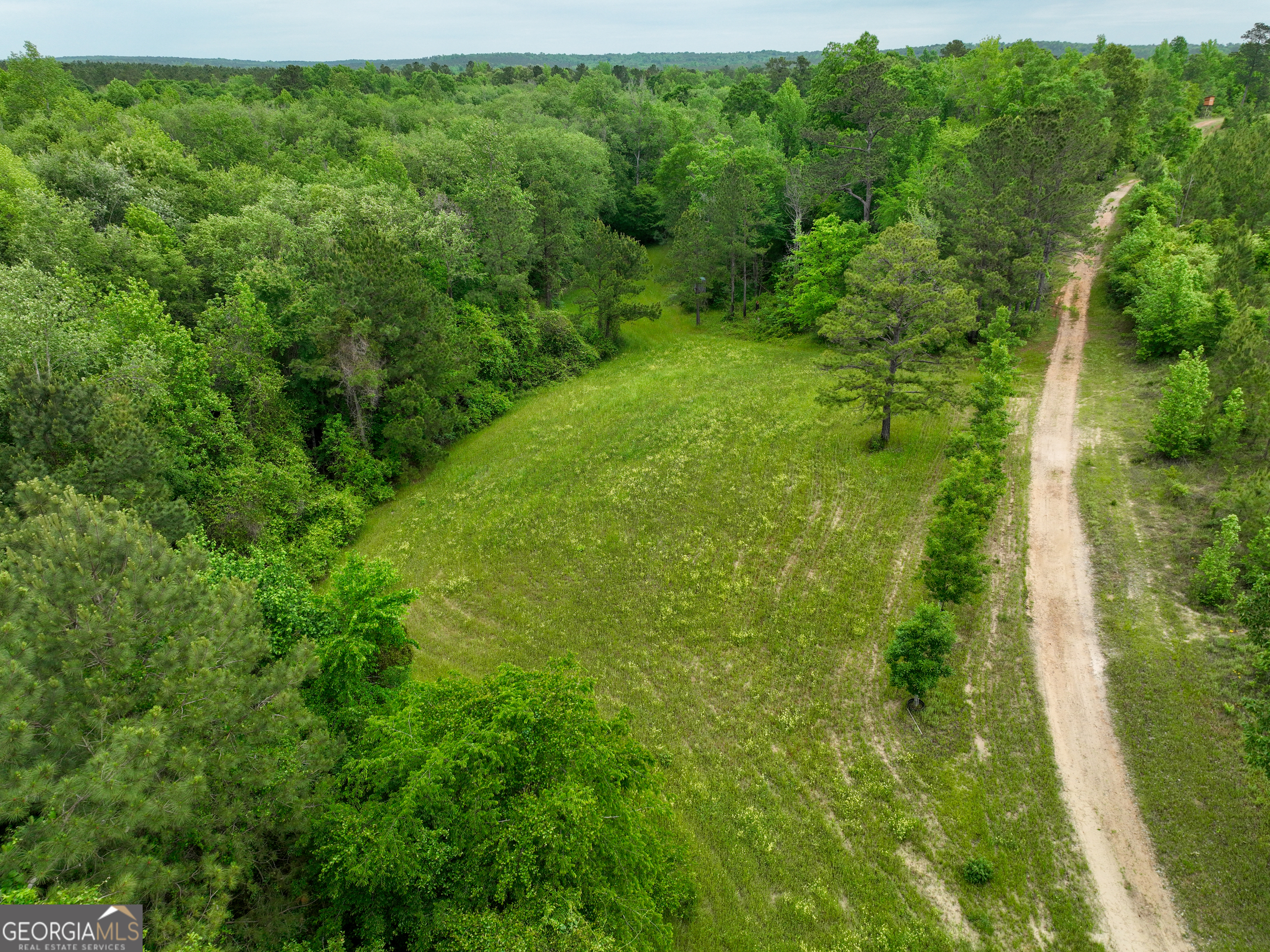 6620 Jr Sims Road Irwinton GA 31042