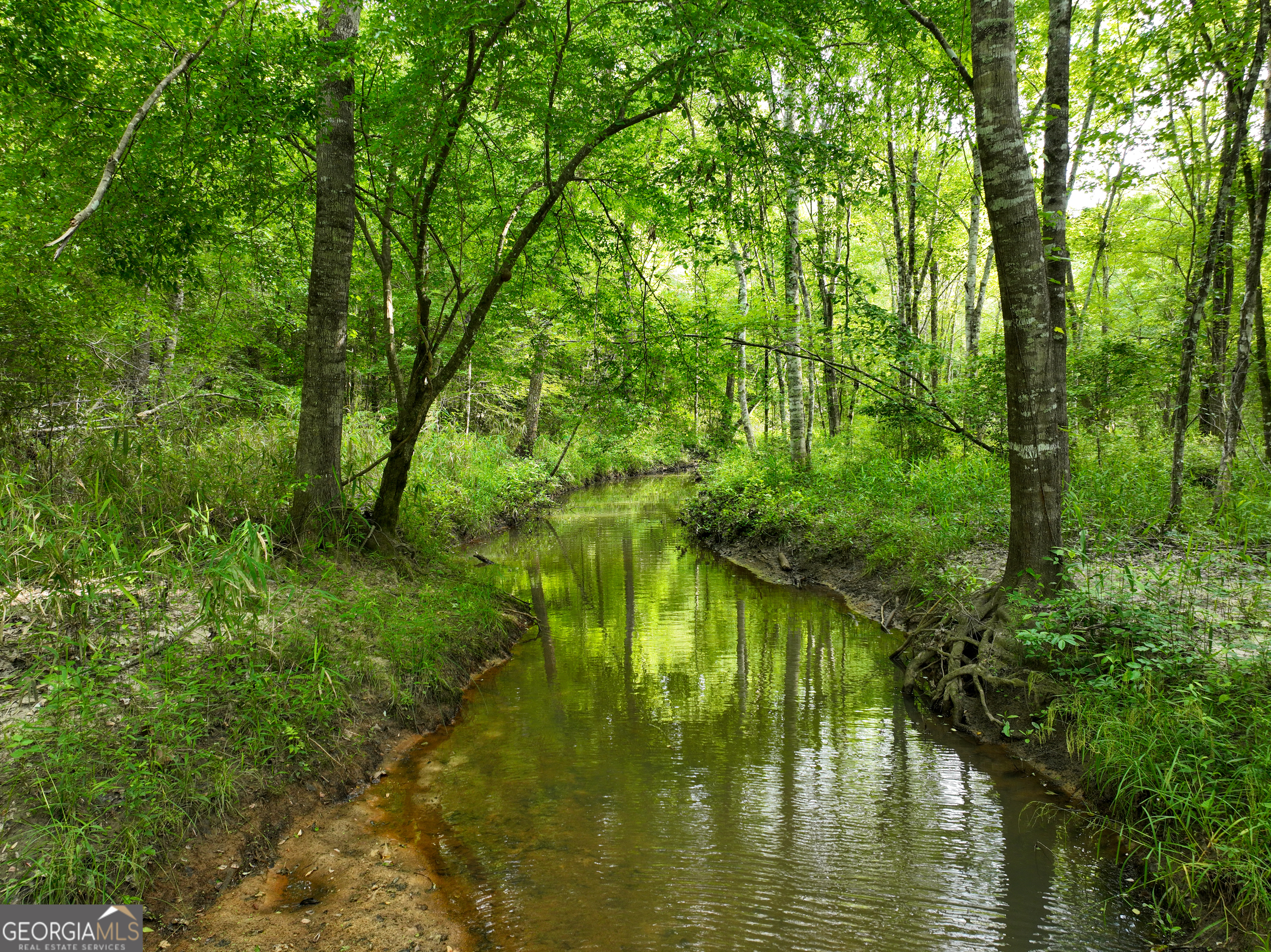 6620 Jr Sims Road Irwinton GA 31042