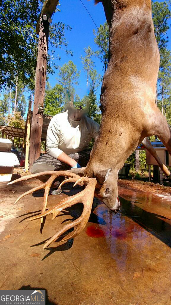 6620 Jr Sims Road Irwinton GA 31042