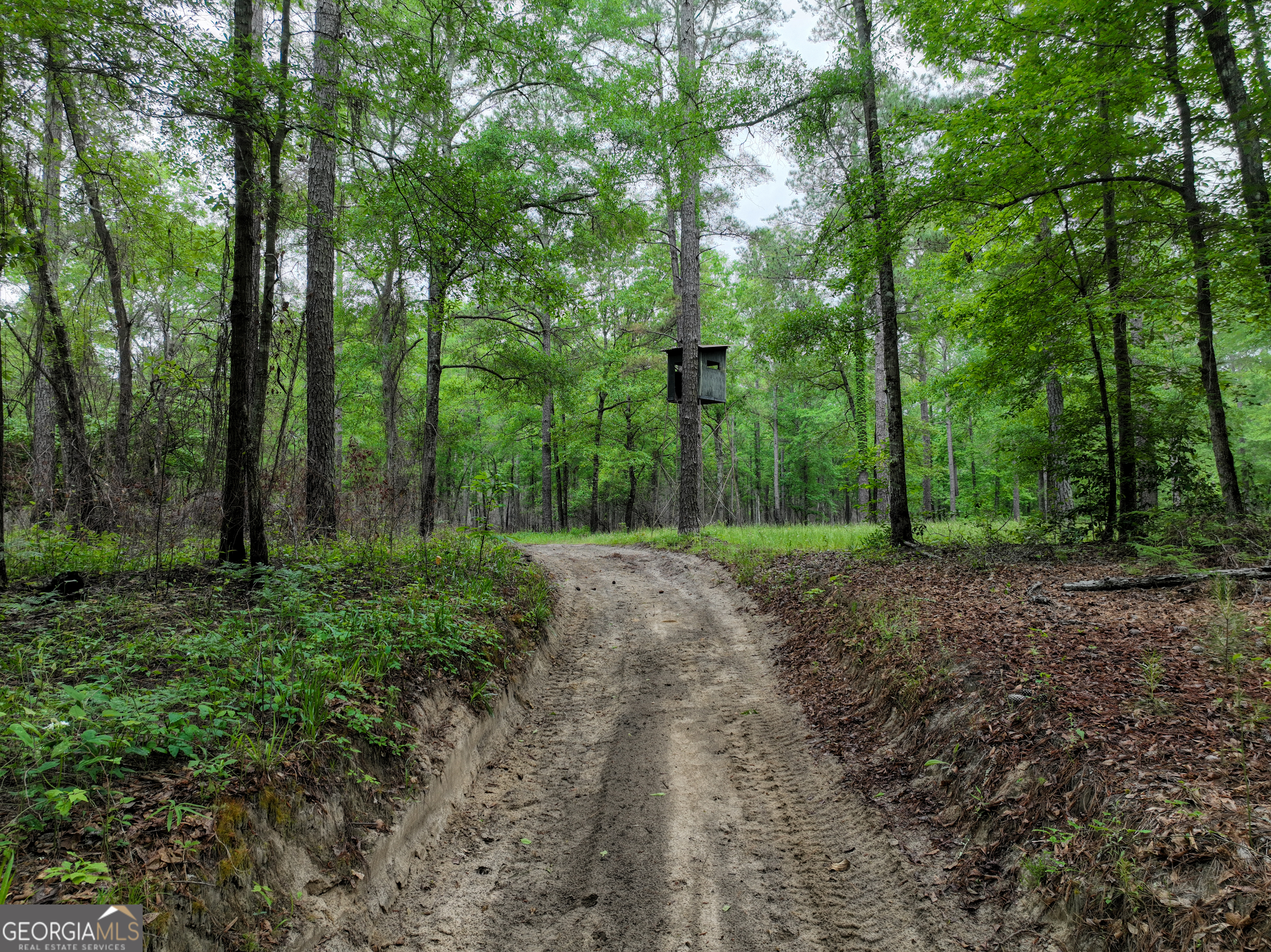 6620 Jr Sims Road Irwinton GA 31042