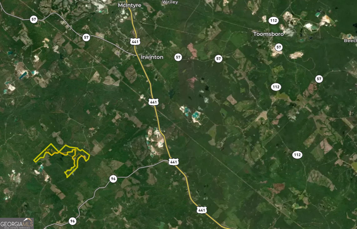 6620 Jr Sims Road Irwinton GA 31042