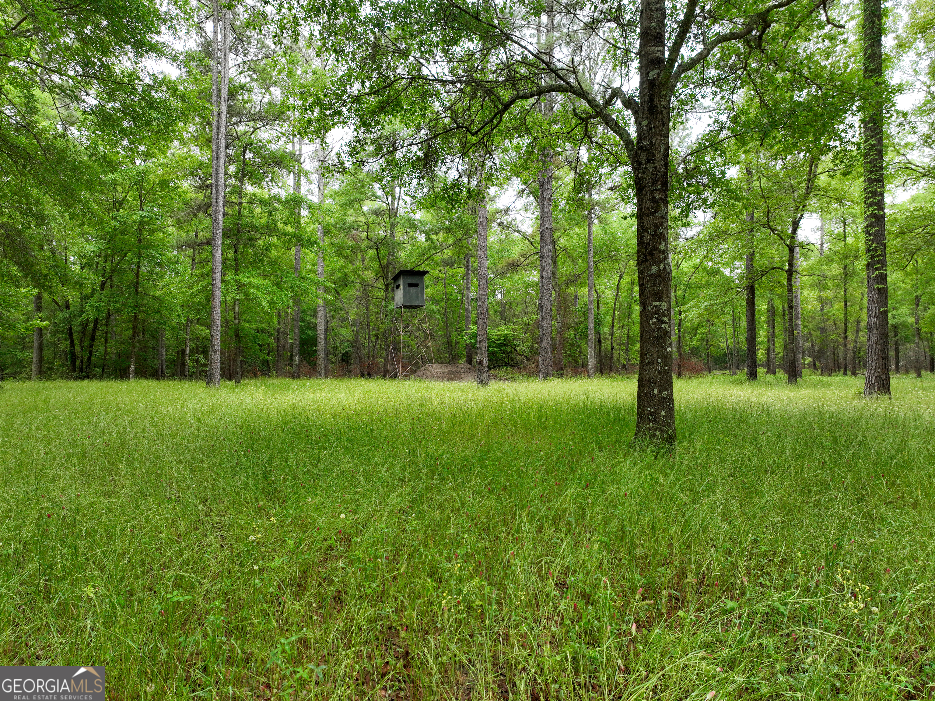 6620 Jr Sims Road Irwinton GA 31042