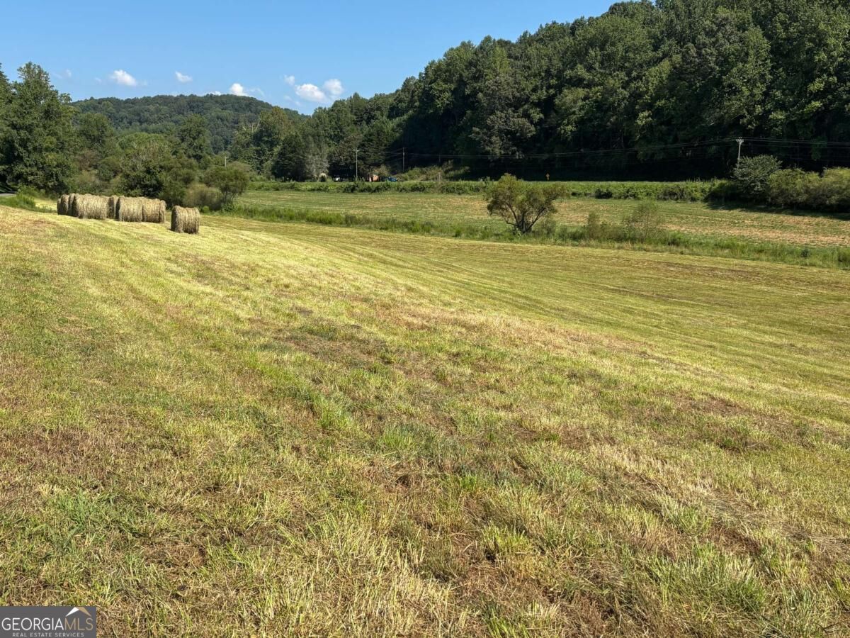 13 Ac Aruthur Anderson Road Dahlonega GA 30533