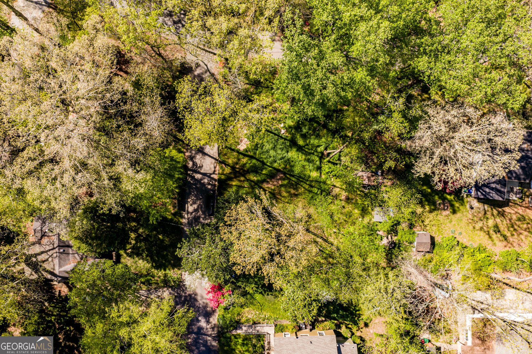 4604 Park Drive Pine Lake GA 30072