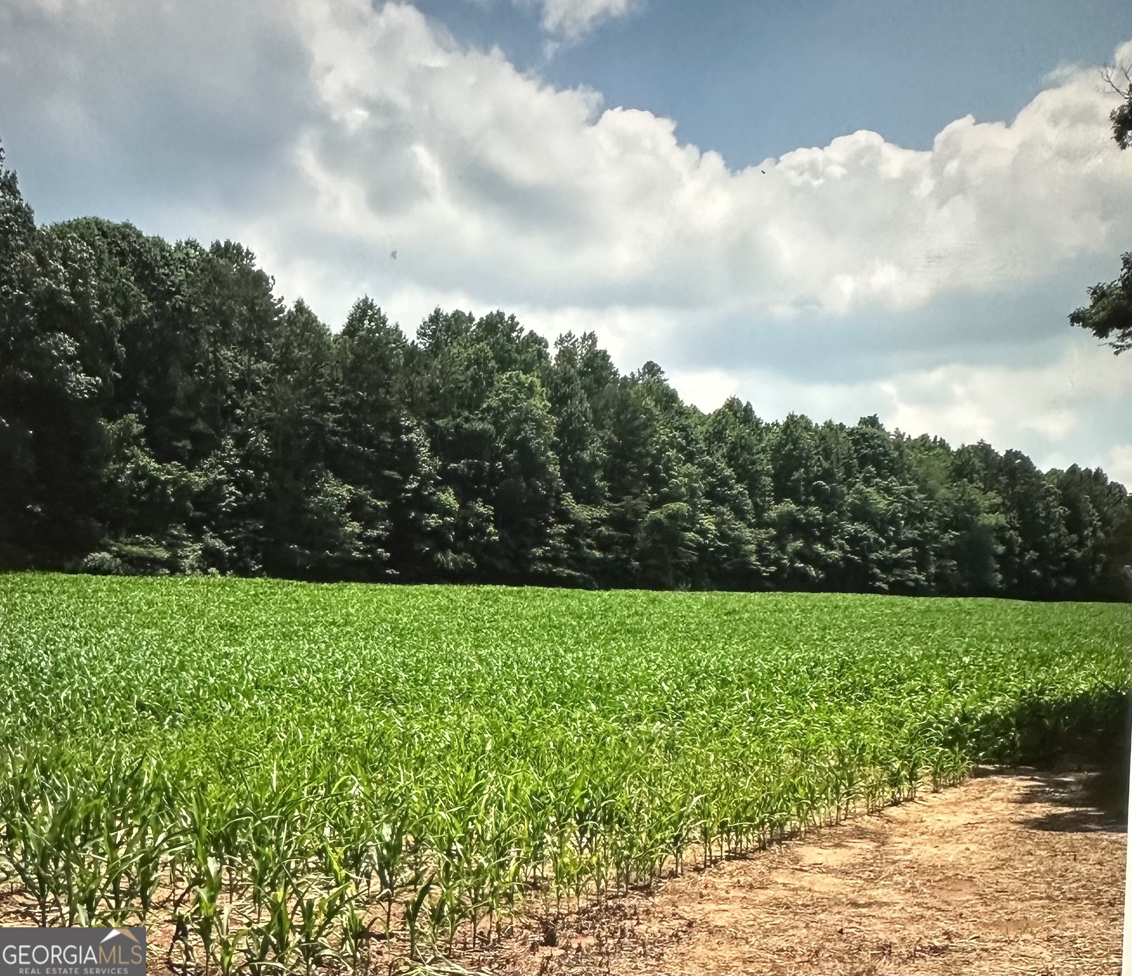 0 Cleveland Highway Cohutta GA 30710