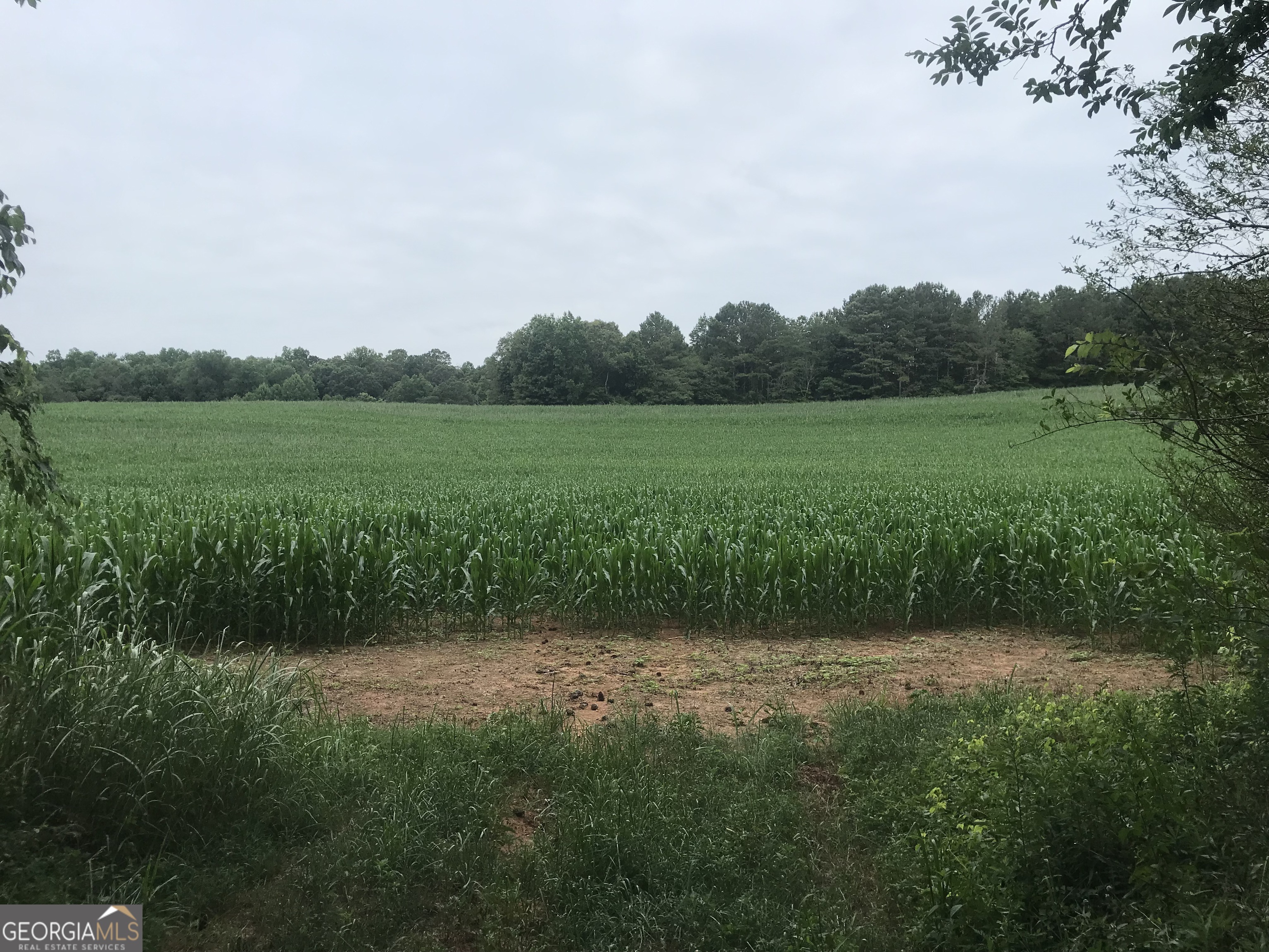 0 Cleveland Highway Cohutta GA 30710