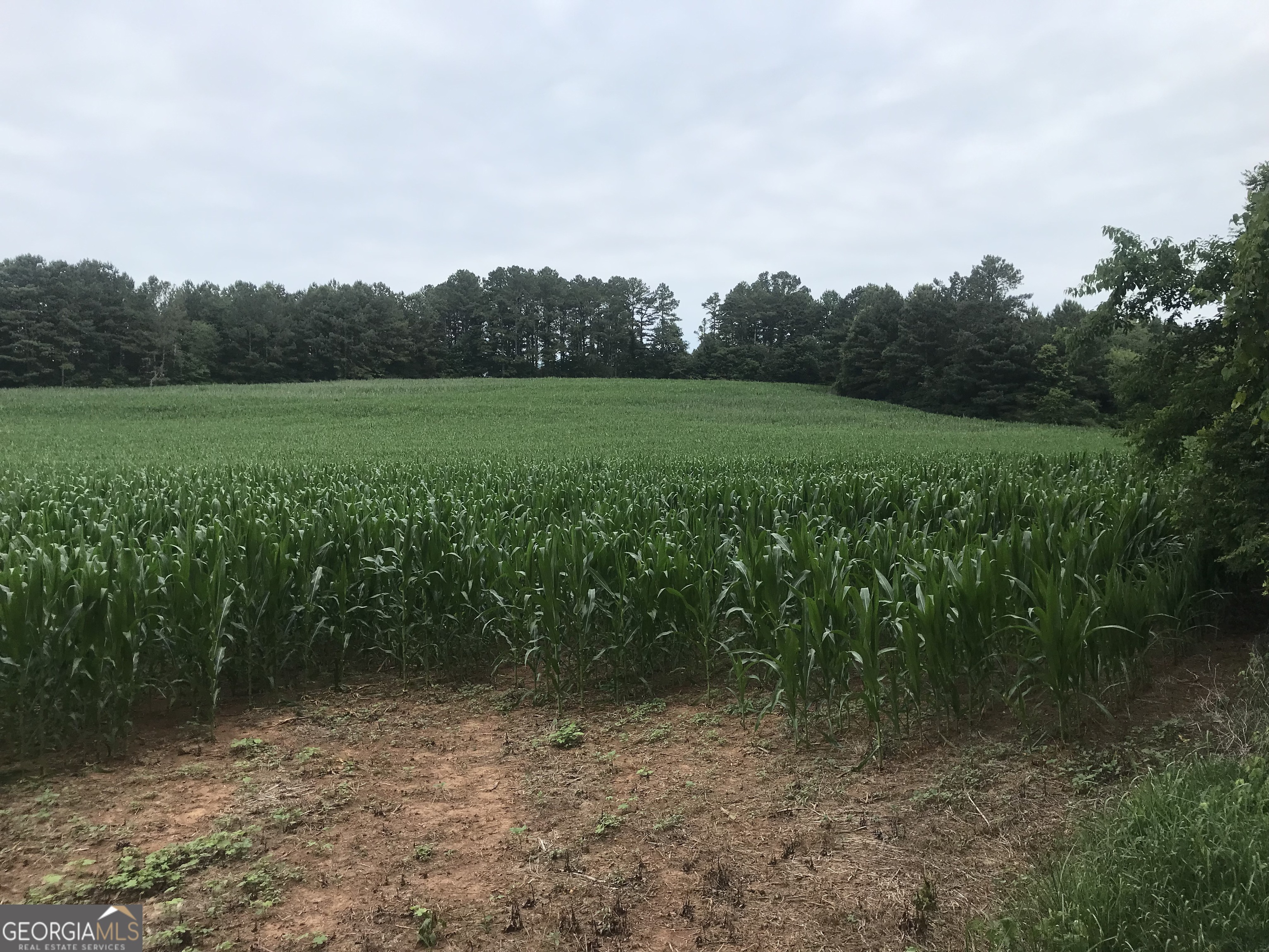 0 Cleveland Highway Cohutta GA 30710