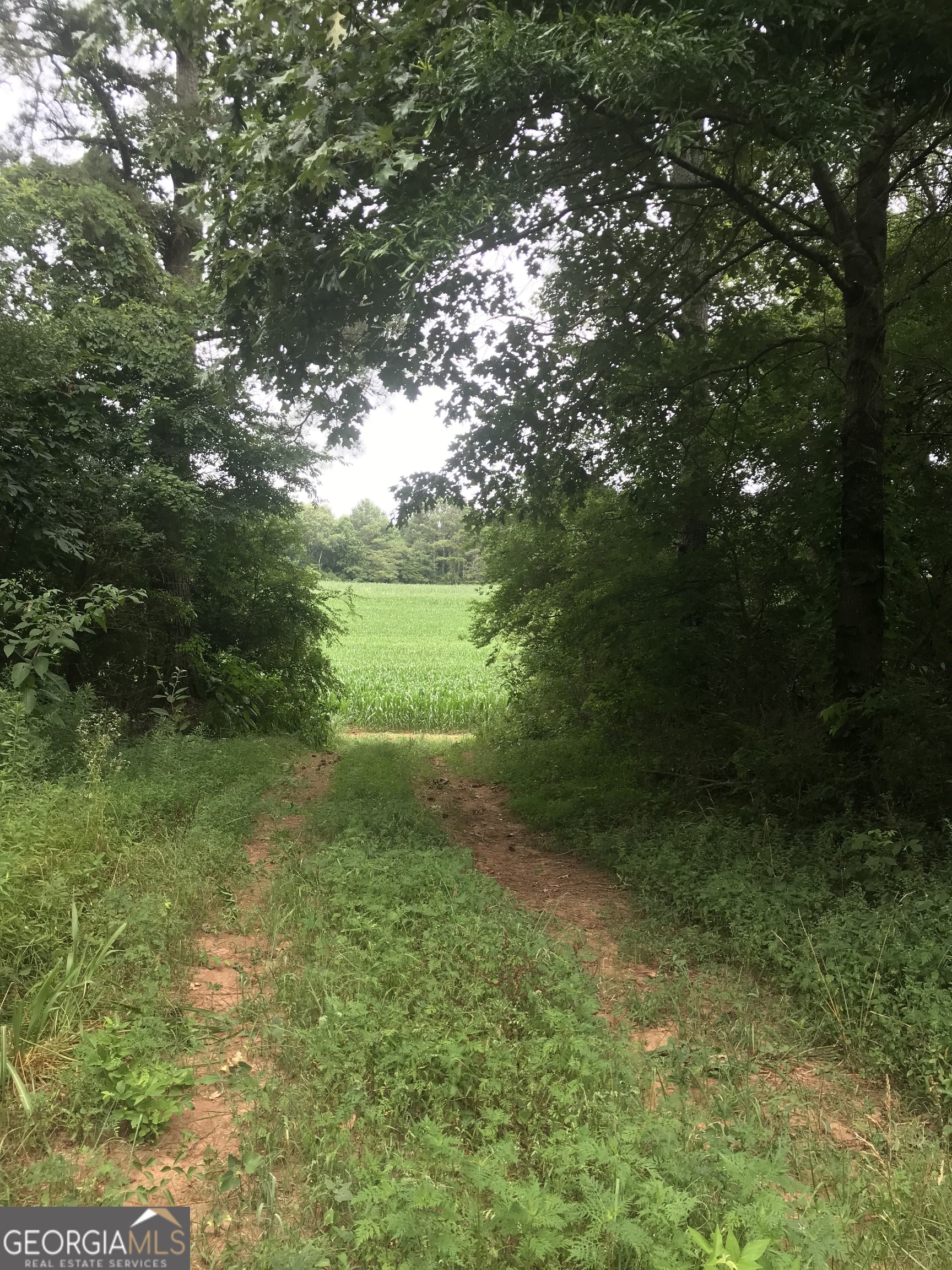 0 Cleveland Highway Cohutta GA 30710