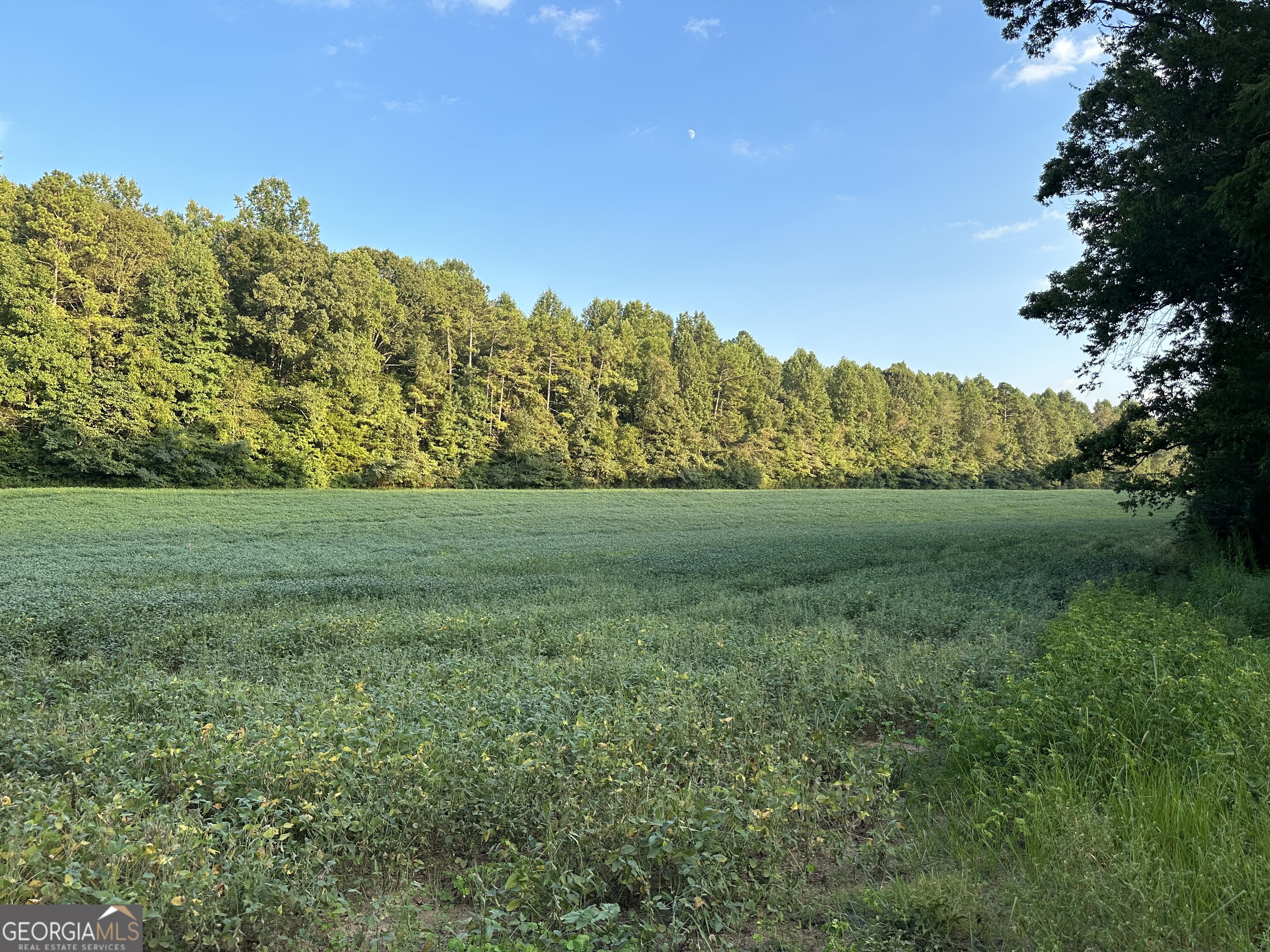 0 Cleveland Highway Cohutta GA 30710