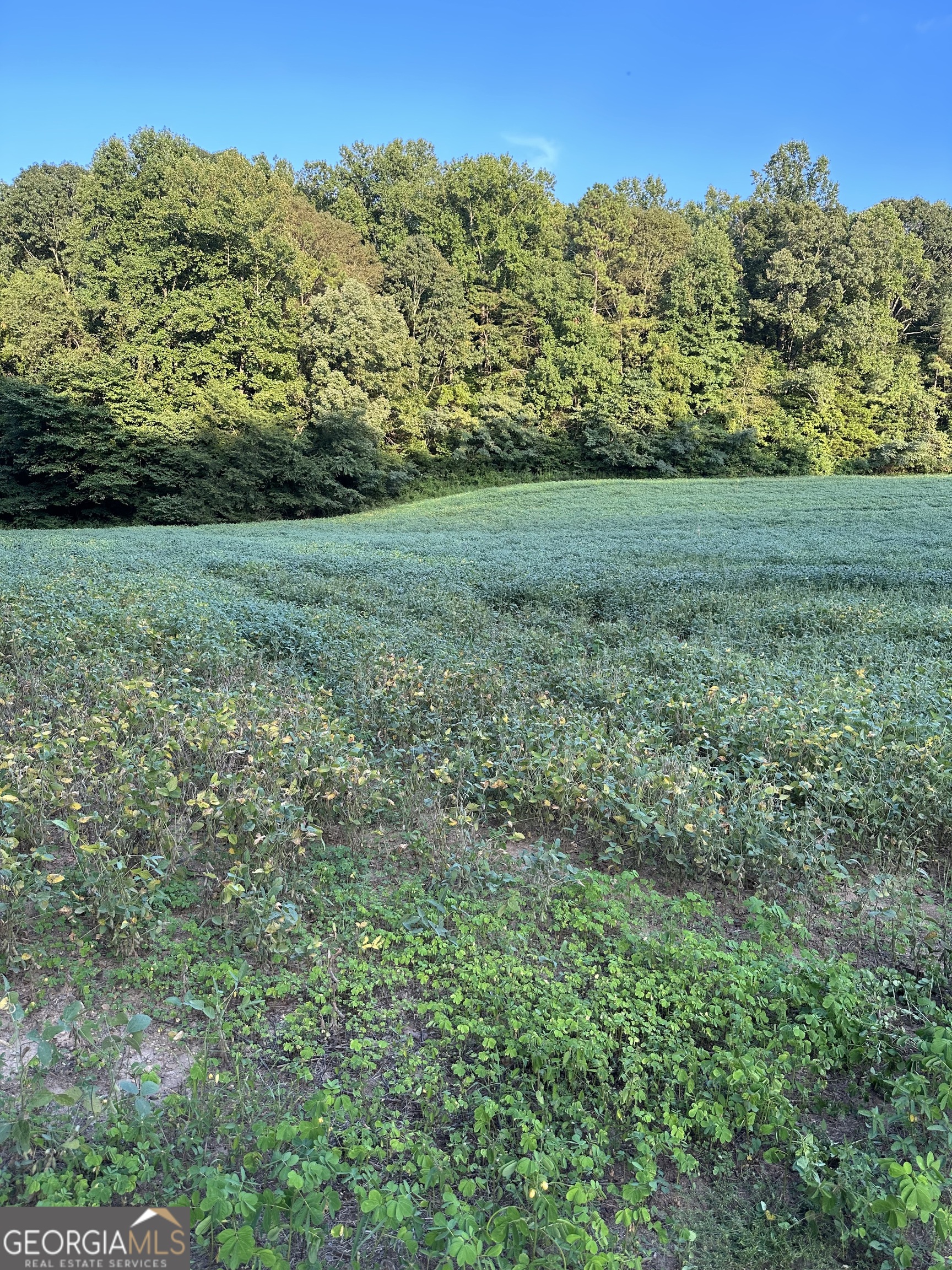 0 Cleveland Highway Cohutta GA 30710