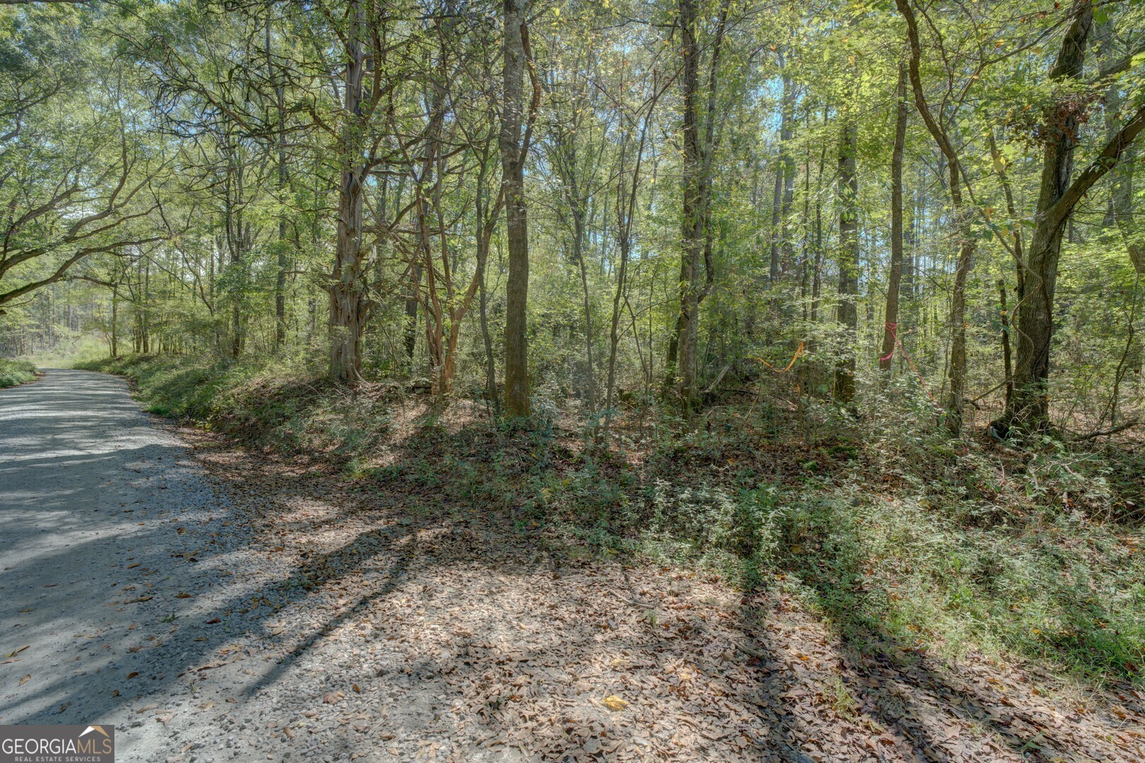 0 Rocky Creek Road Mansfield GA 30055