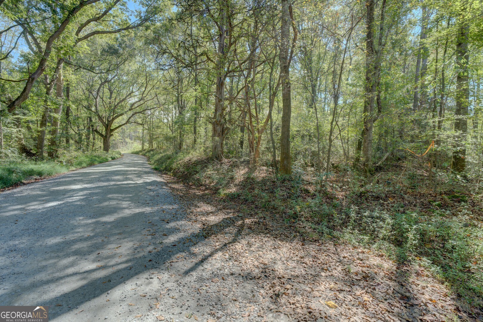 0 Rocky Creek Road Mansfield GA 30055