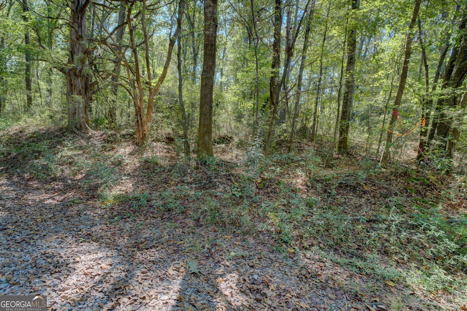 0 Rocky Creek Road Mansfield GA 30055