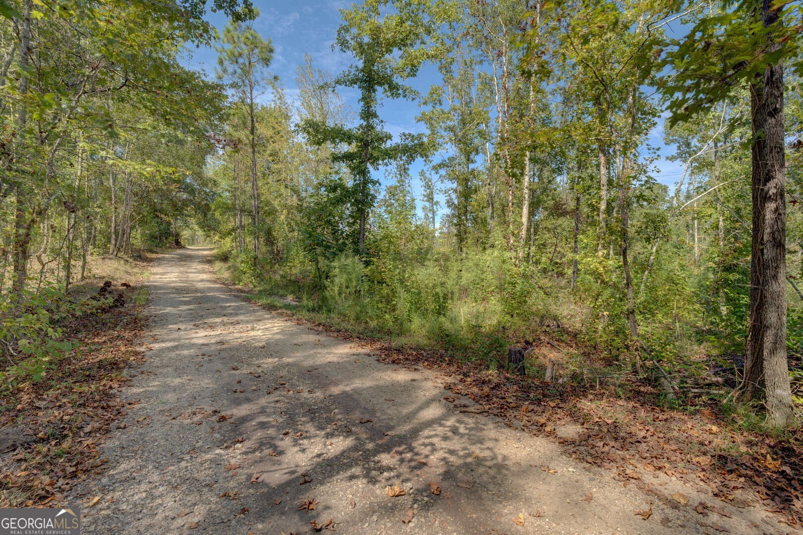 0 Rocky Creek Road Mansfield GA 30055