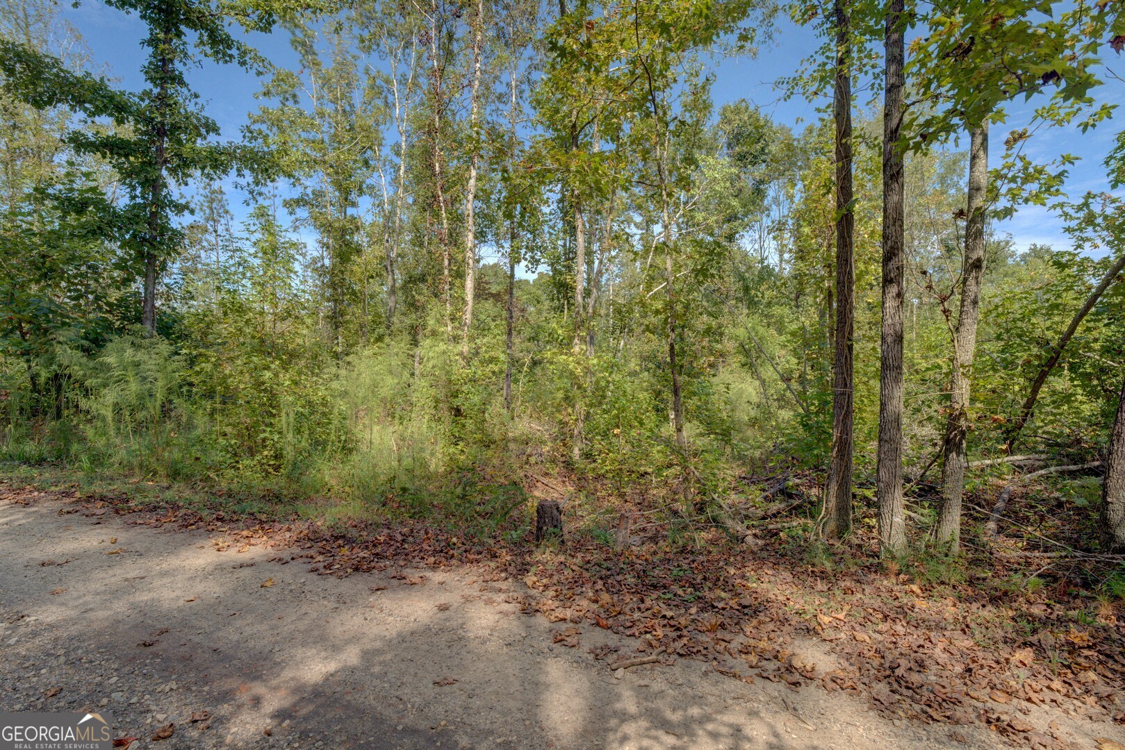 0 Rocky Creek Road Mansfield GA 30055