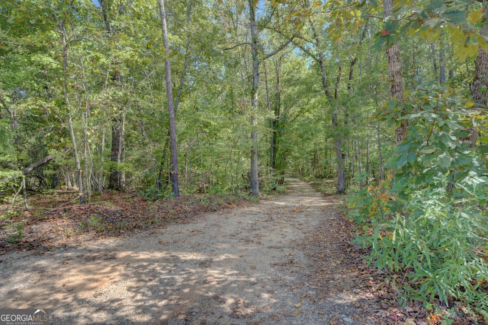 0 Rocky Creek Road Mansfield GA 30055