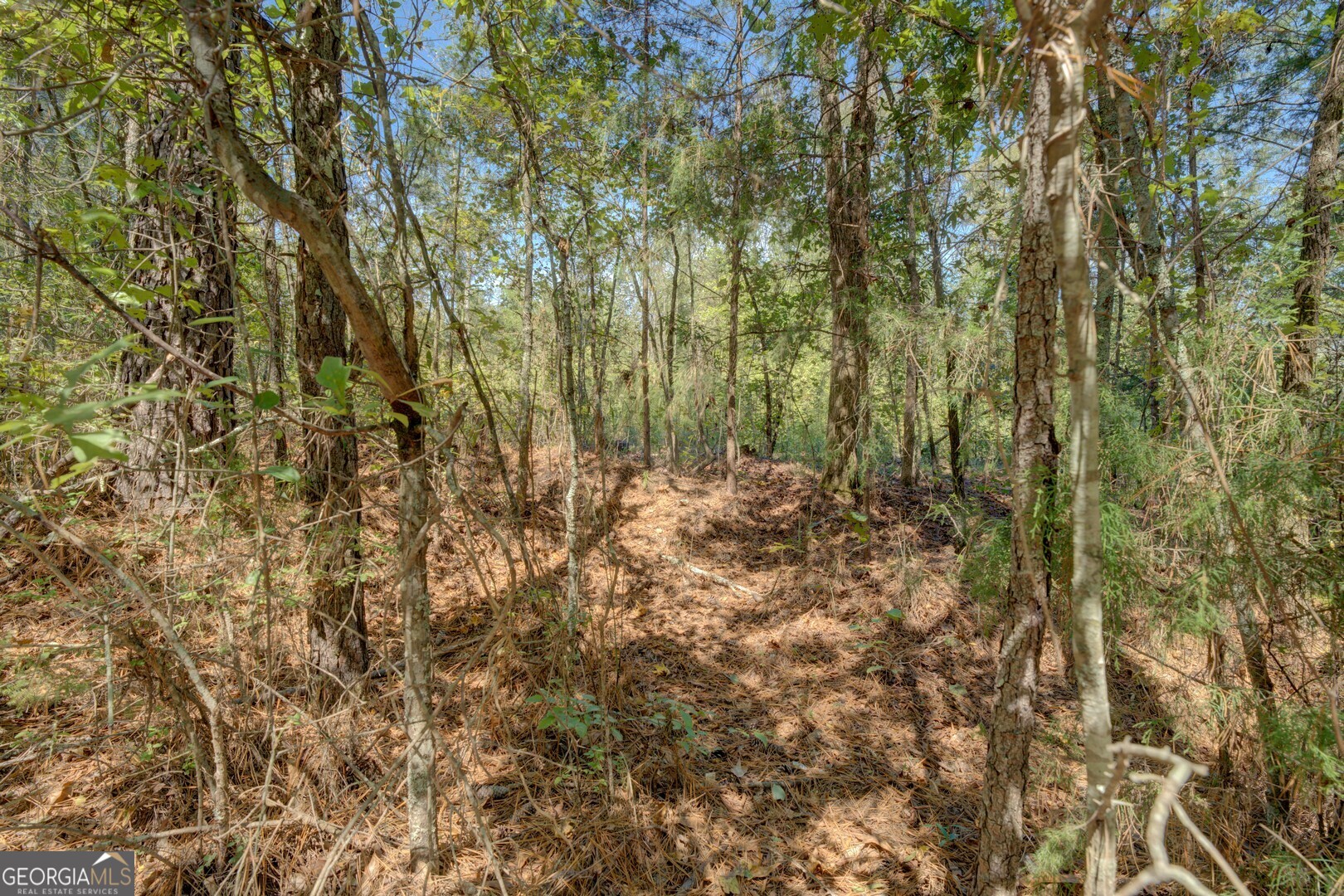 0 Rocky Creek Road Mansfield GA 30055