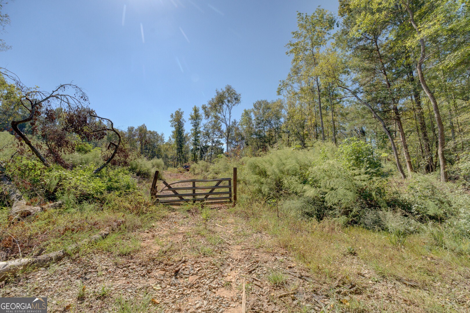 0 Rocky Creek Road Mansfield GA 30055
