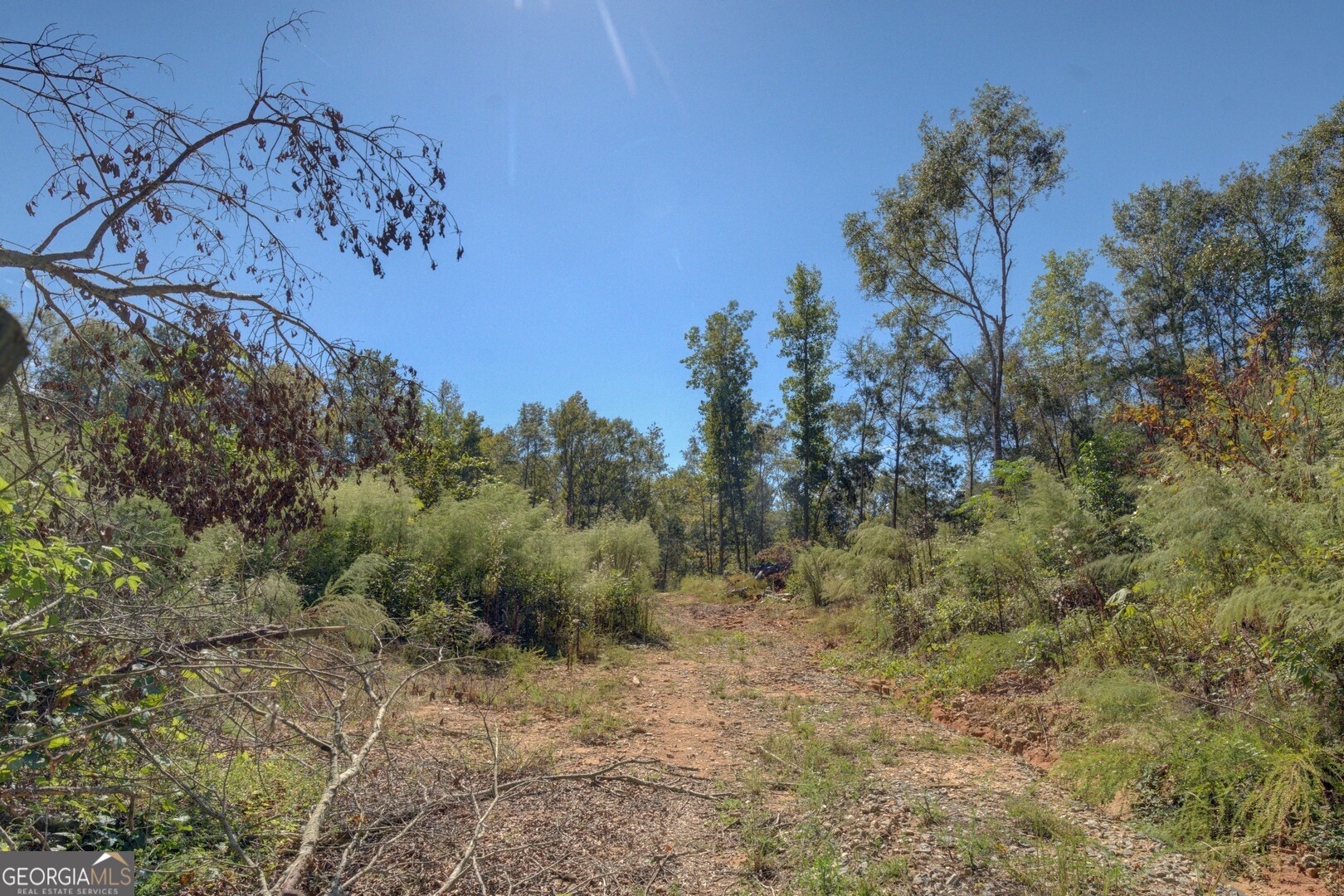 0 Rocky Creek Road Mansfield GA 30055