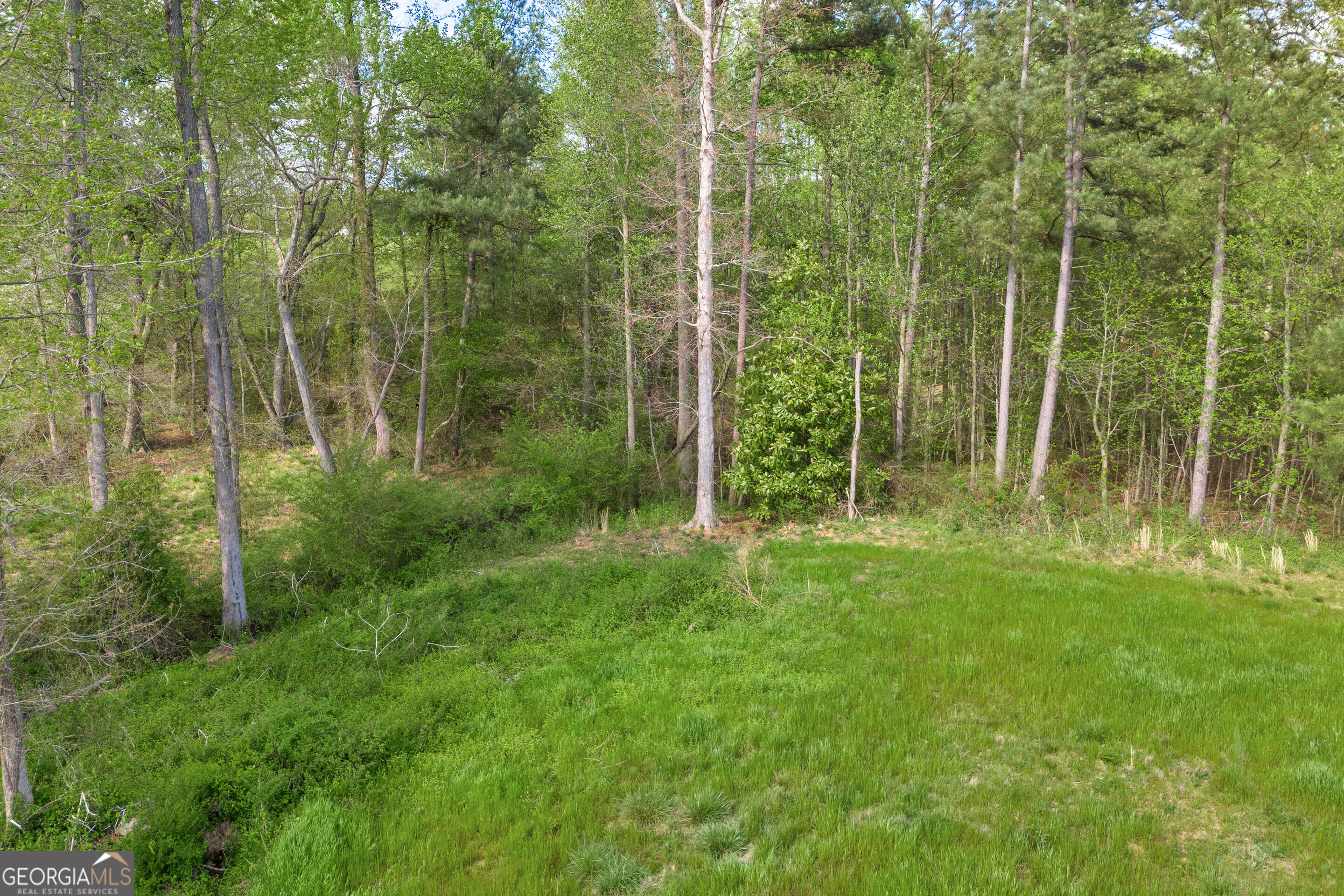 Tract 2 Kristy Street Bowersville GA 30516