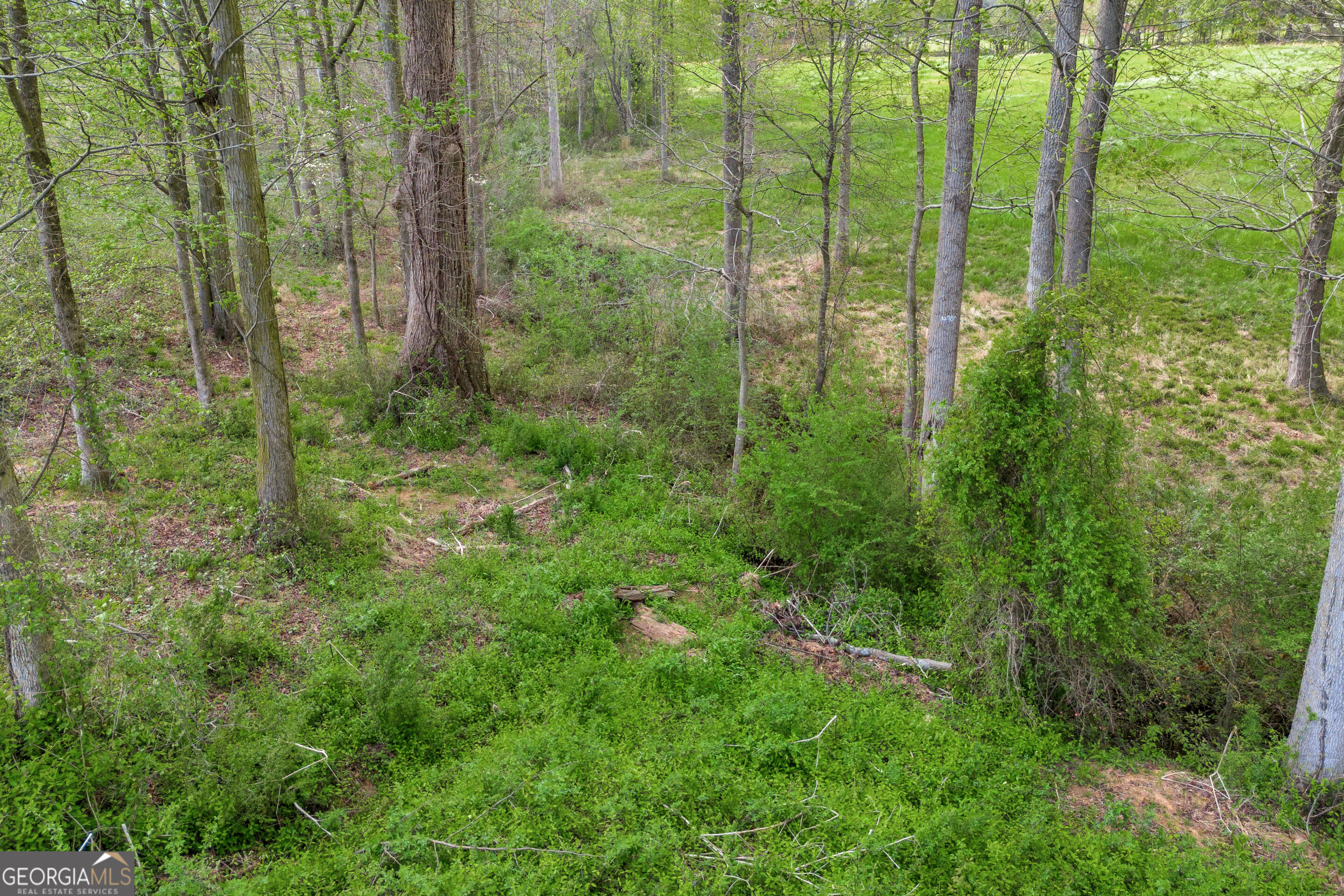 Tract 2 Kristy Street Bowersville GA 30516