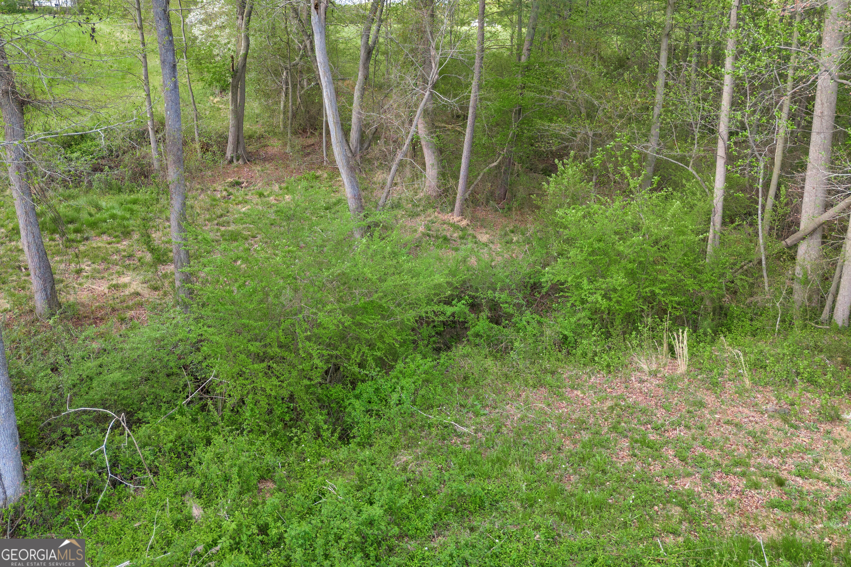 Tract 2 Kristy Street Bowersville GA 30516