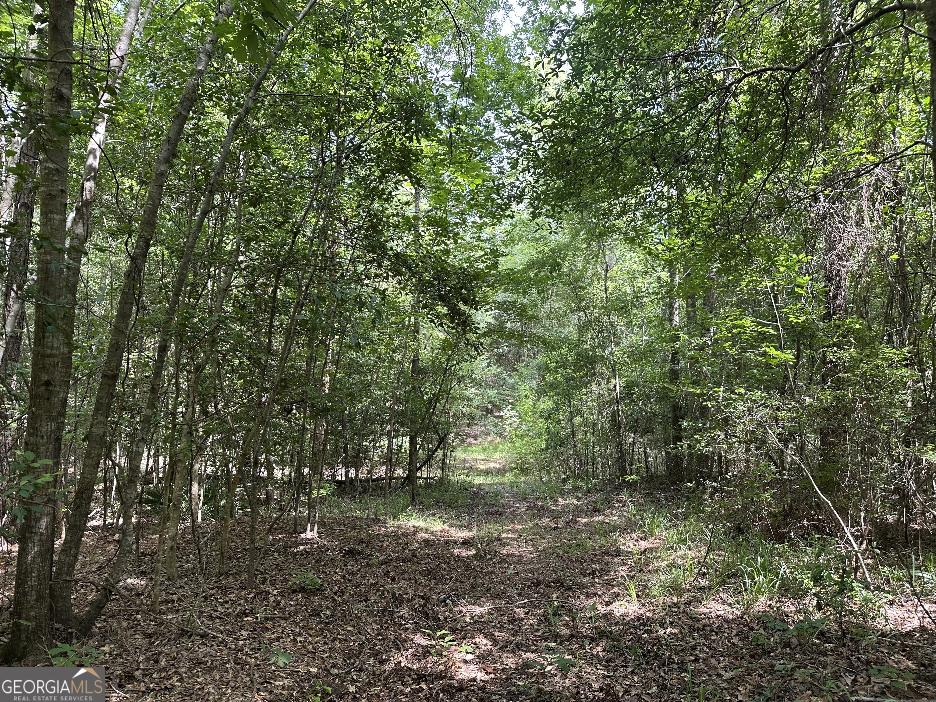 699 Ga Highway 96 Irwinton GA 31042