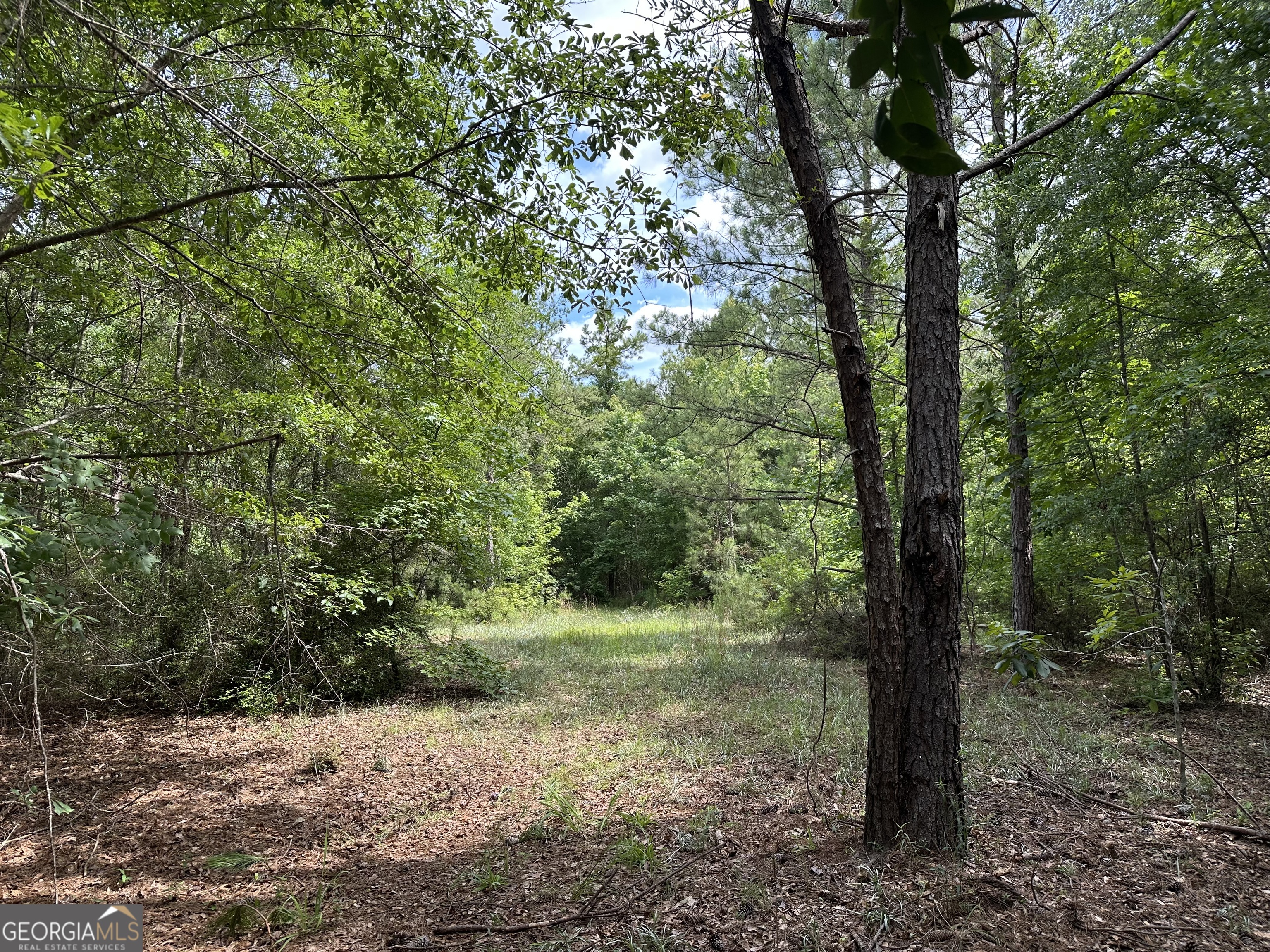 699 Ga Highway 96 Irwinton GA 31042