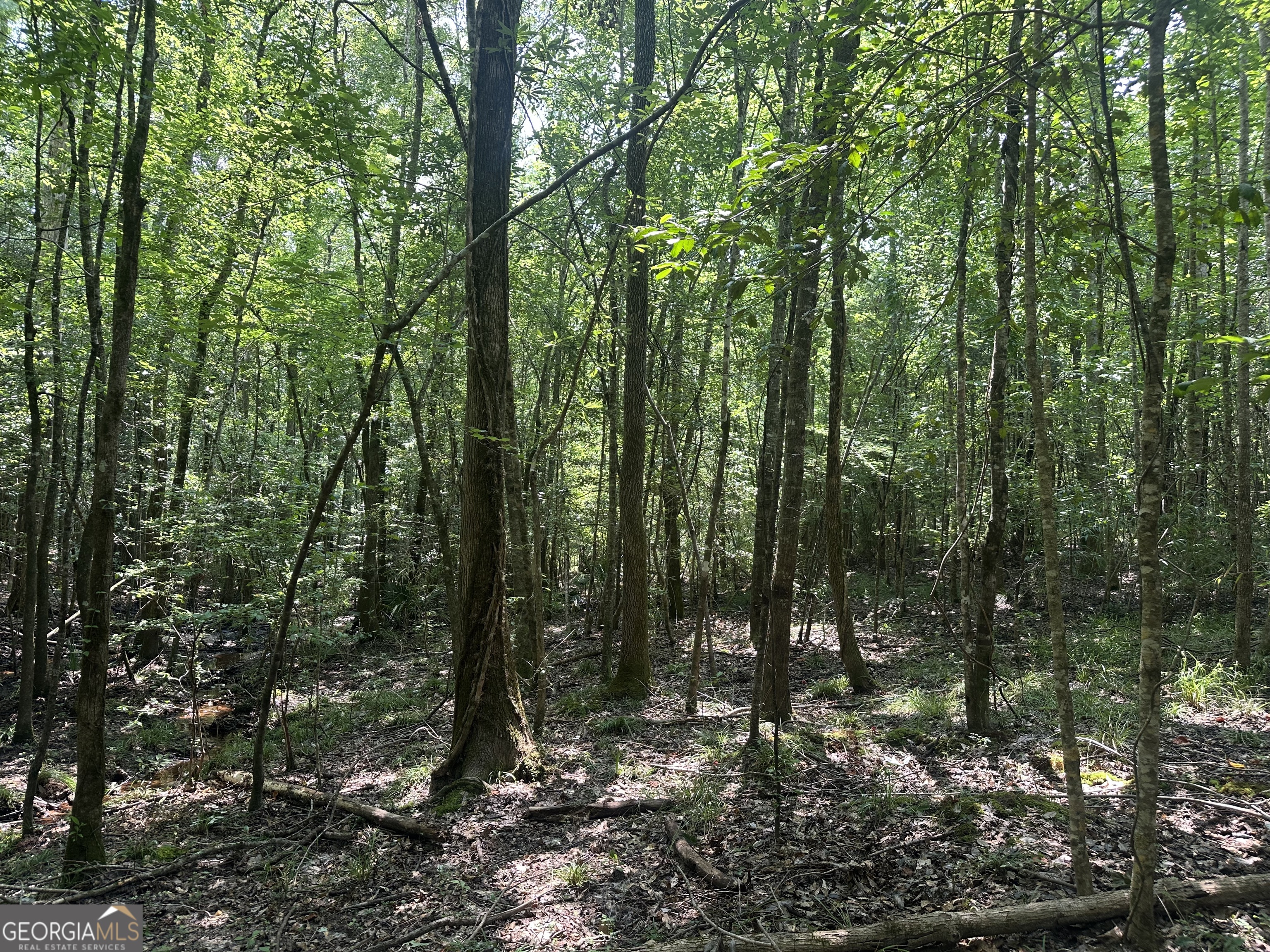 699 Ga Highway 96 Irwinton GA 31042
