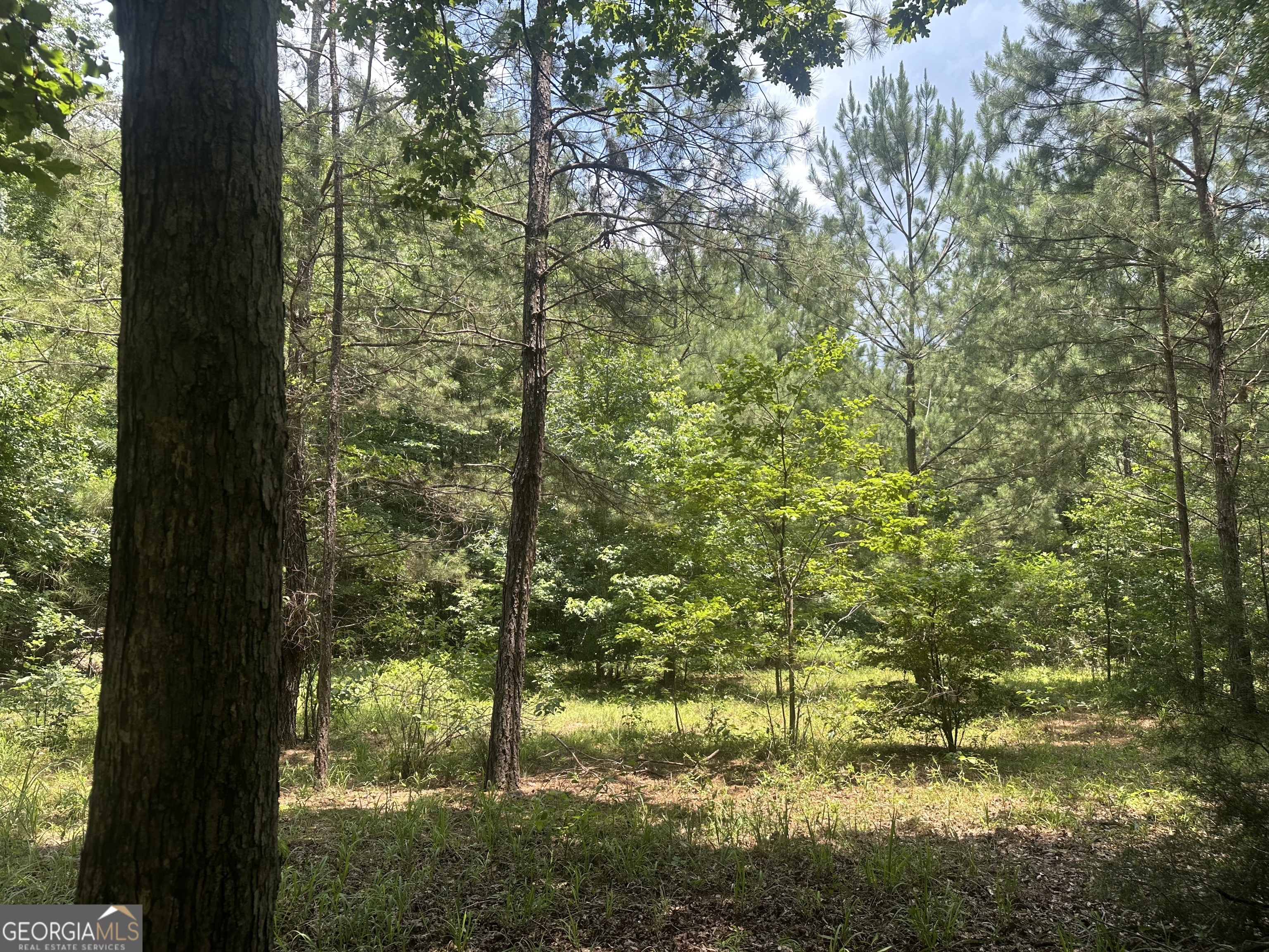 699 Ga Highway 96 Irwinton GA 31042