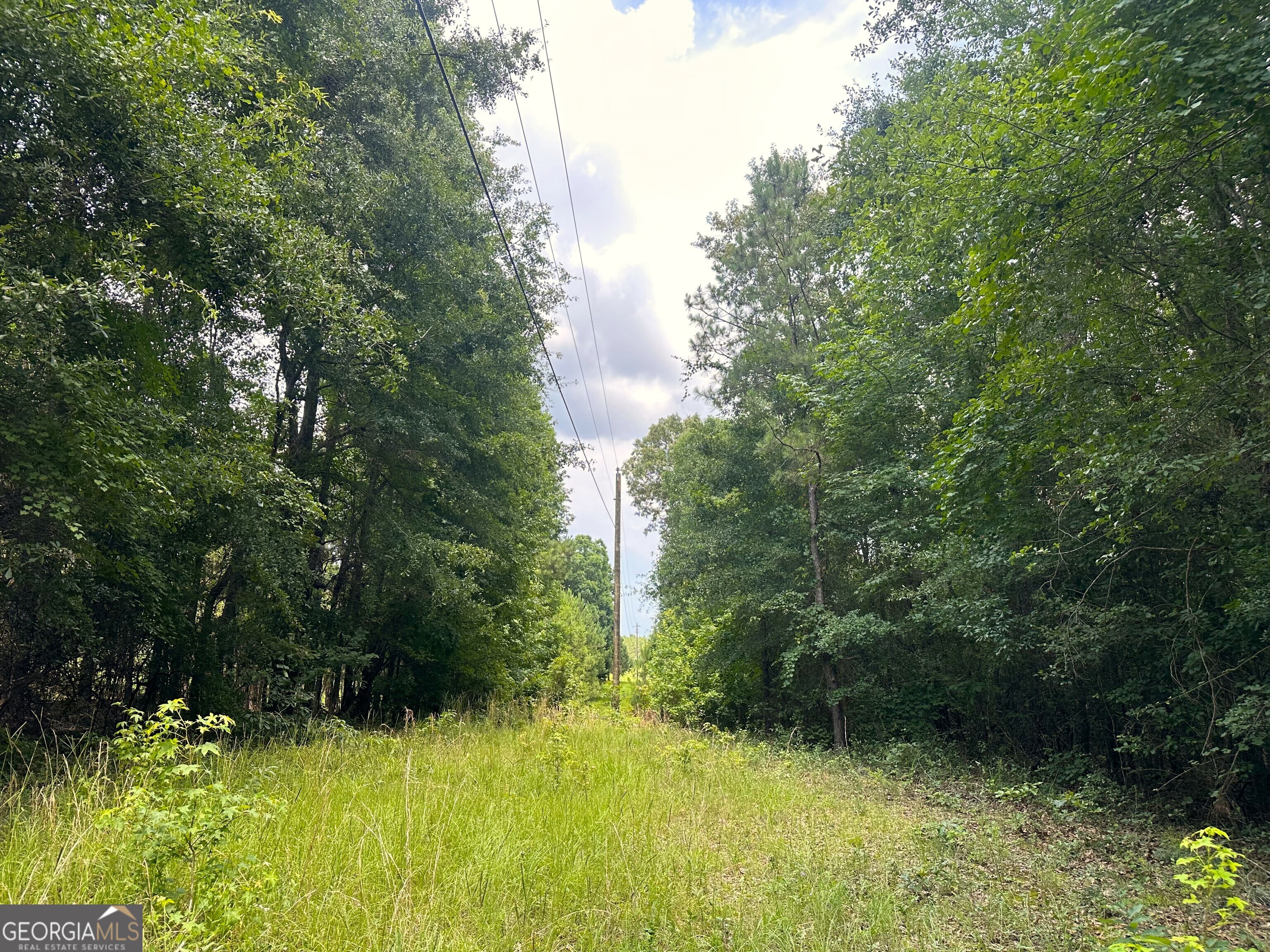 699 Ga Highway 96 Irwinton GA 31042