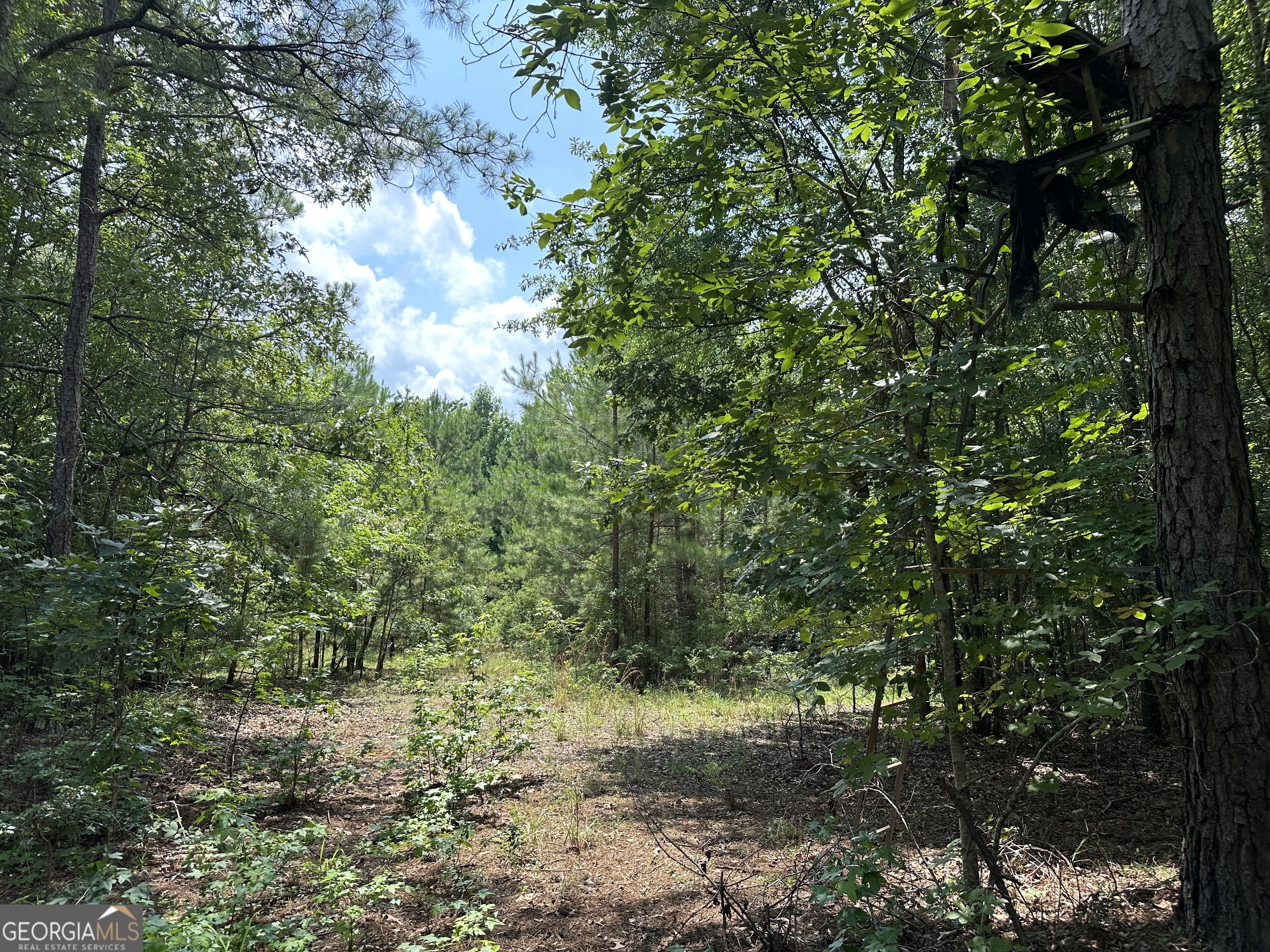 699 Ga Highway 96 Irwinton GA 31042