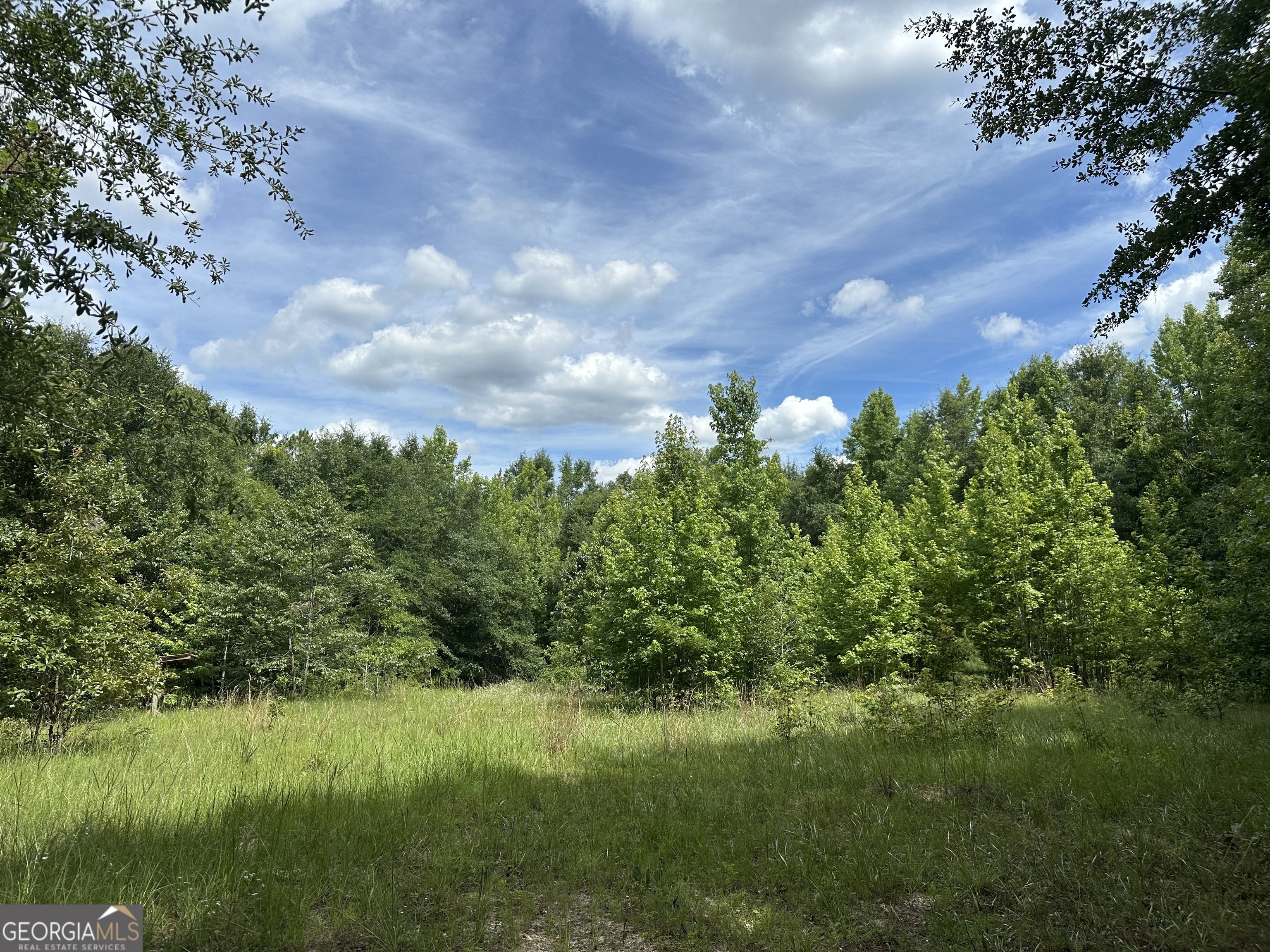 699 Ga Highway 96 Irwinton GA 31042