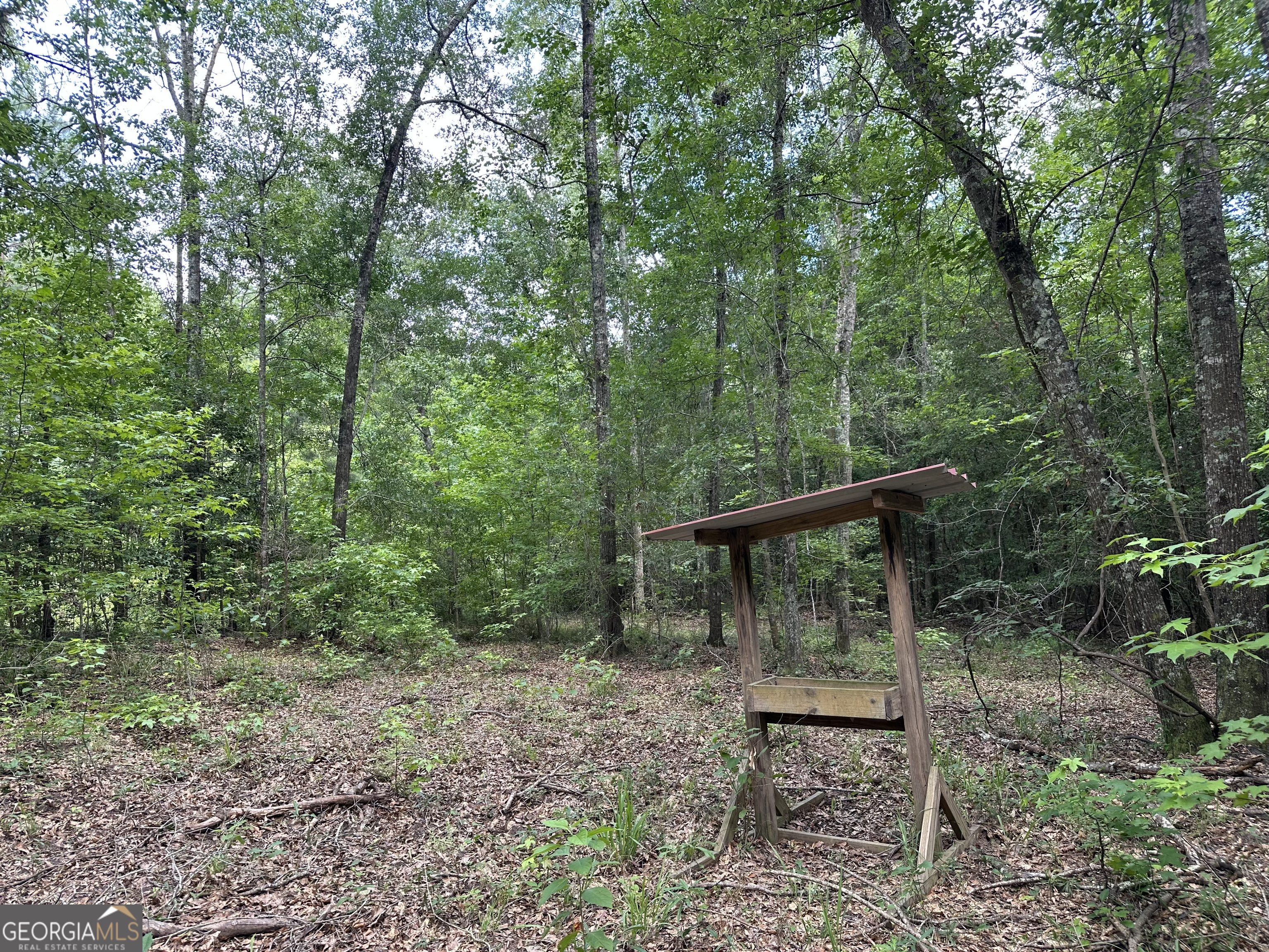 699 Ga Highway 96 Irwinton GA 31042