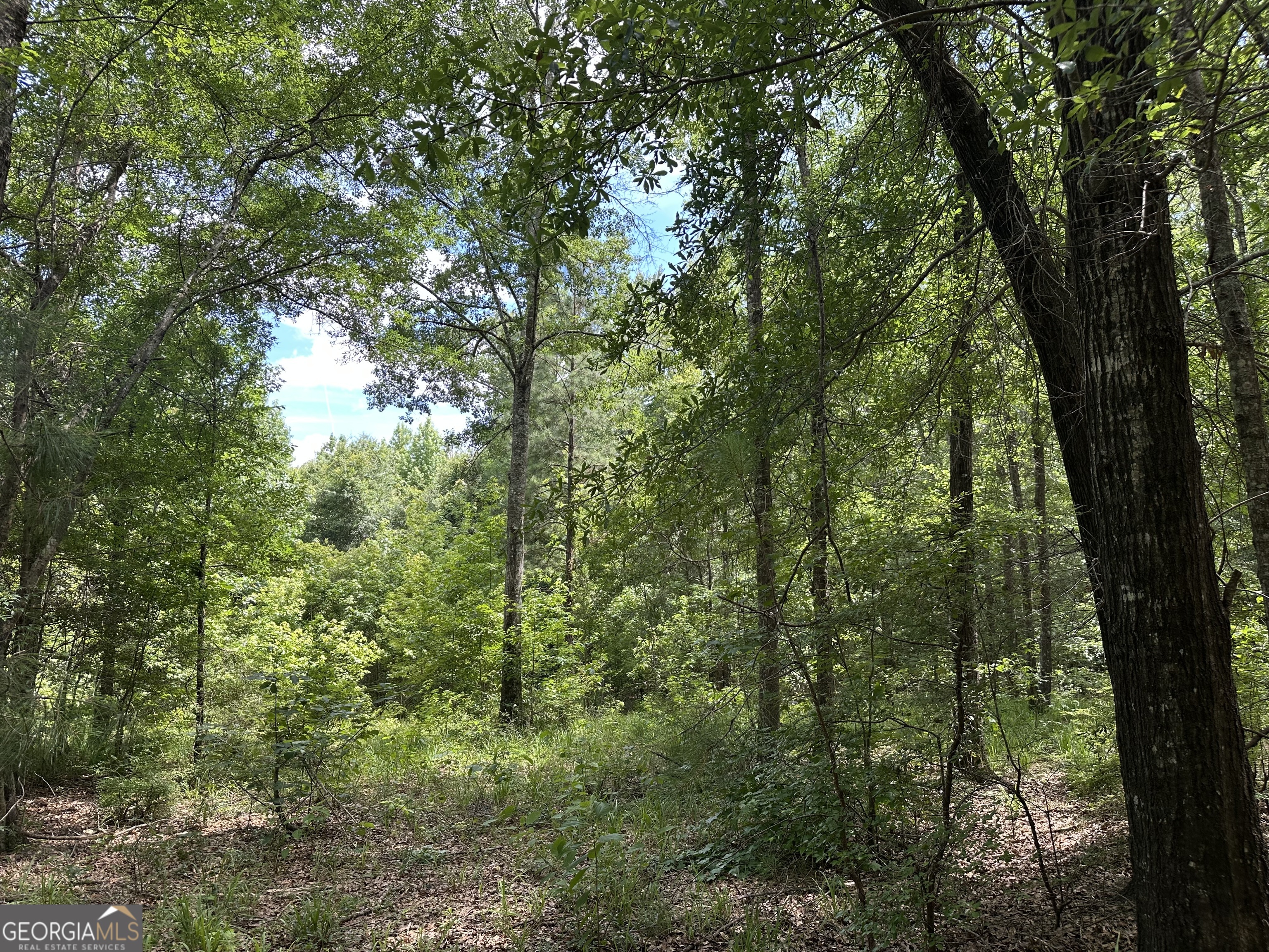 699 Ga Highway 96 Irwinton GA 31042