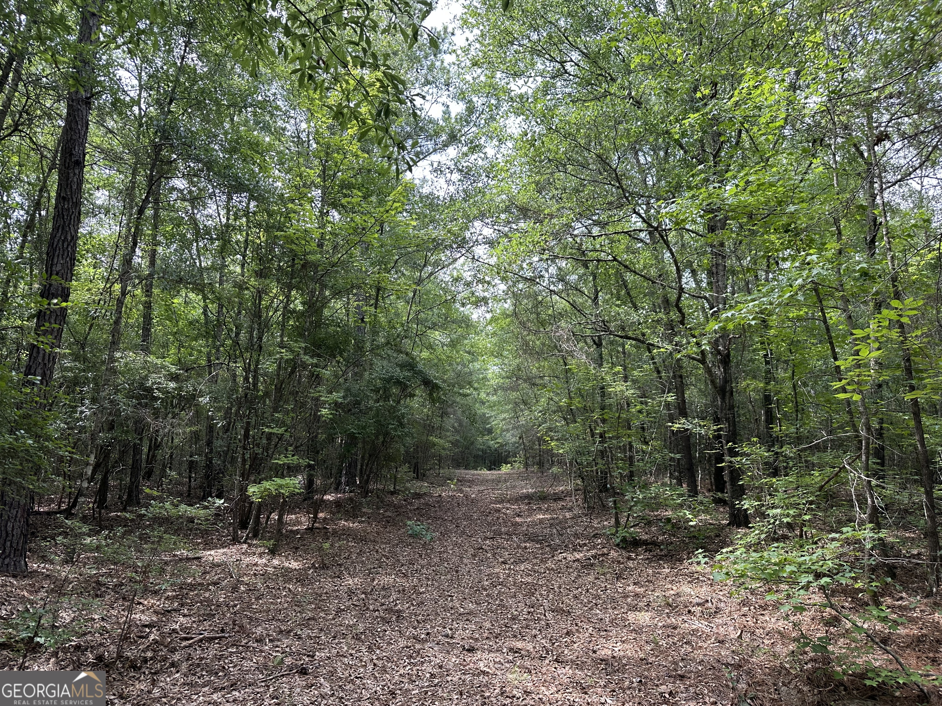 699 Ga Highway 96 Irwinton GA 31042