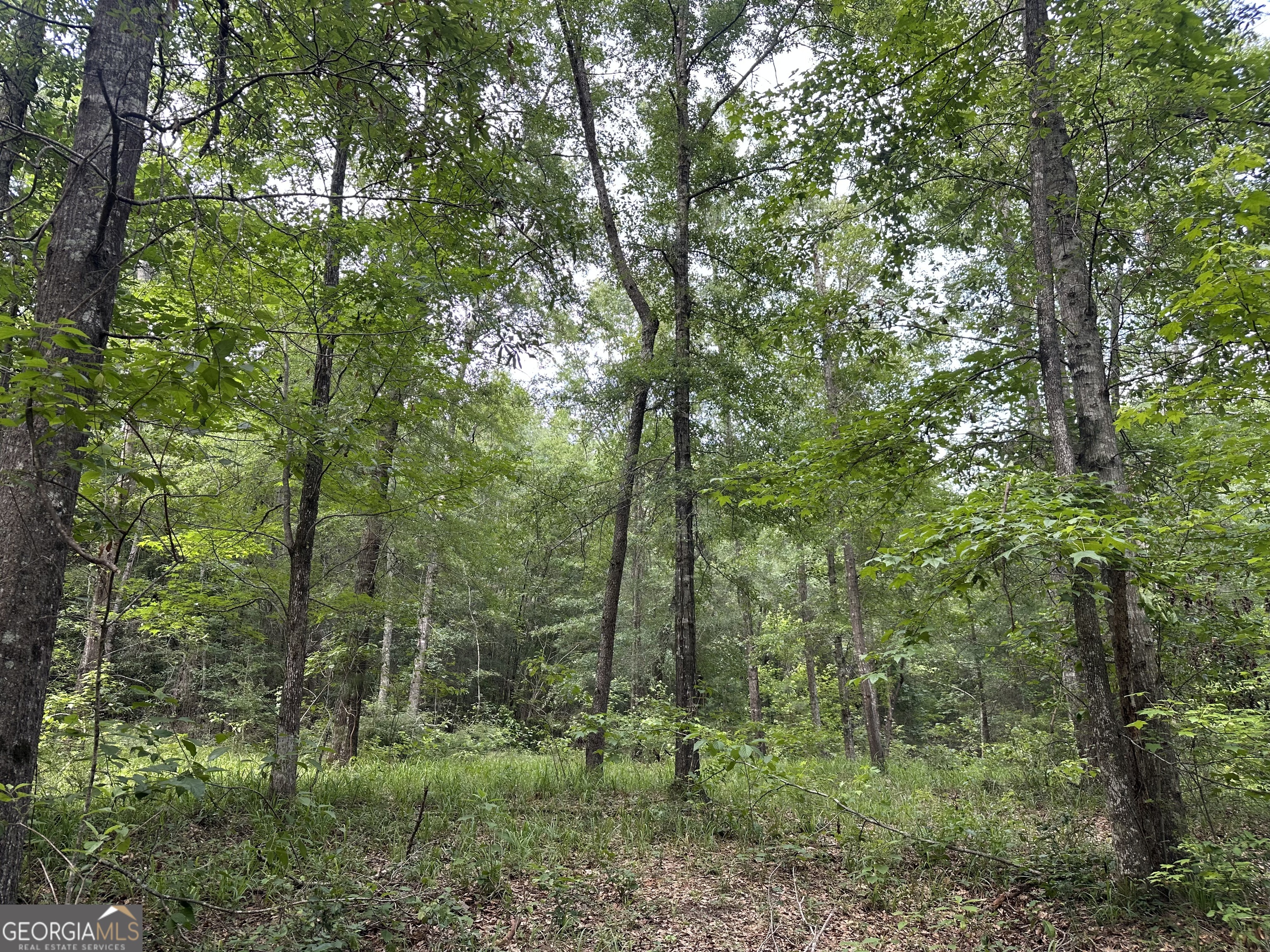 699 Ga Highway 96 Irwinton GA 31042