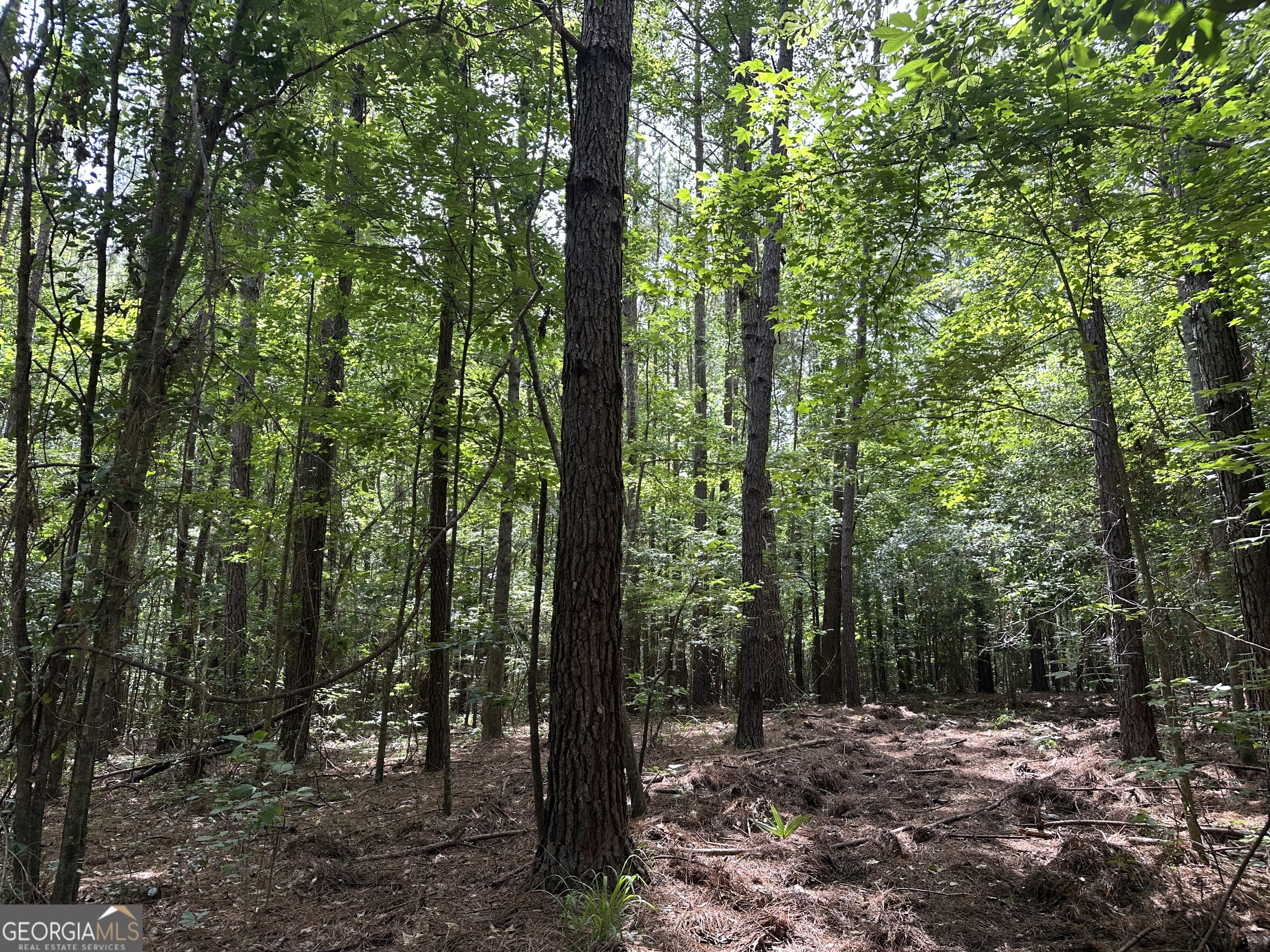 699 Ga Highway 96 Irwinton GA 31042