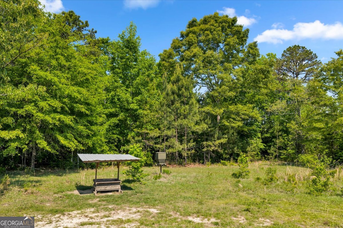 0 Highway 80 Danville GA 31017