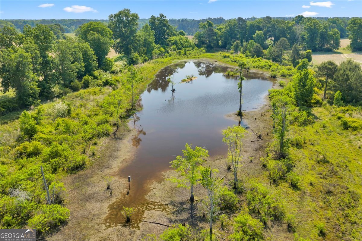 0 Highway 80 Danville GA 31017