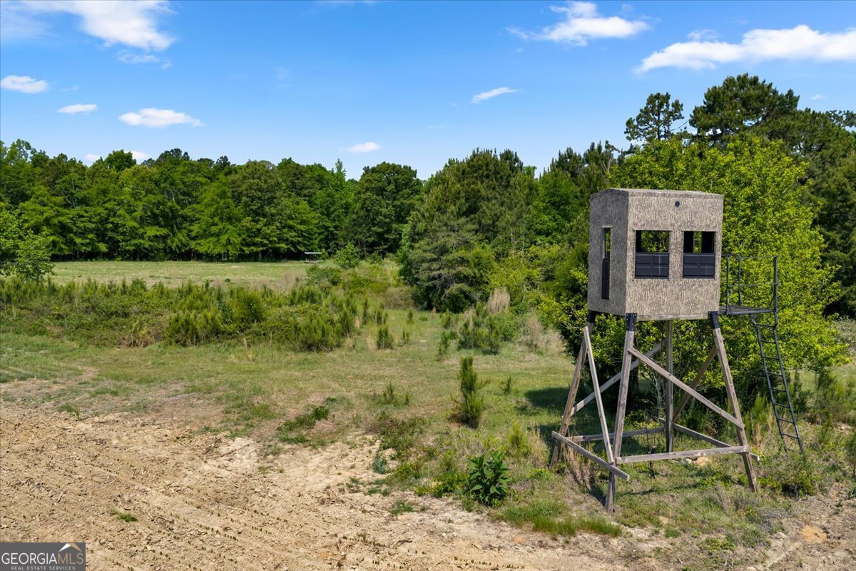 0 Highway 80 Danville GA 31017