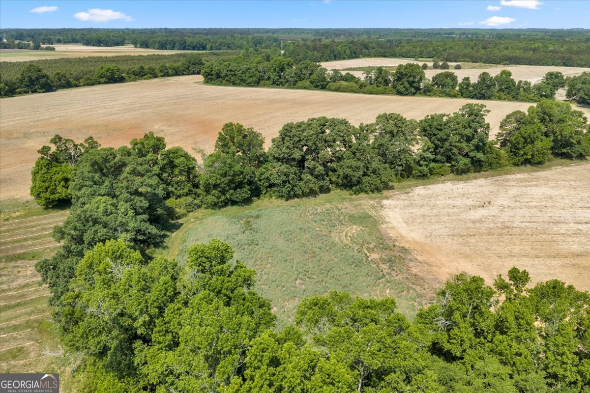0 Highway 80 Danville GA 31017